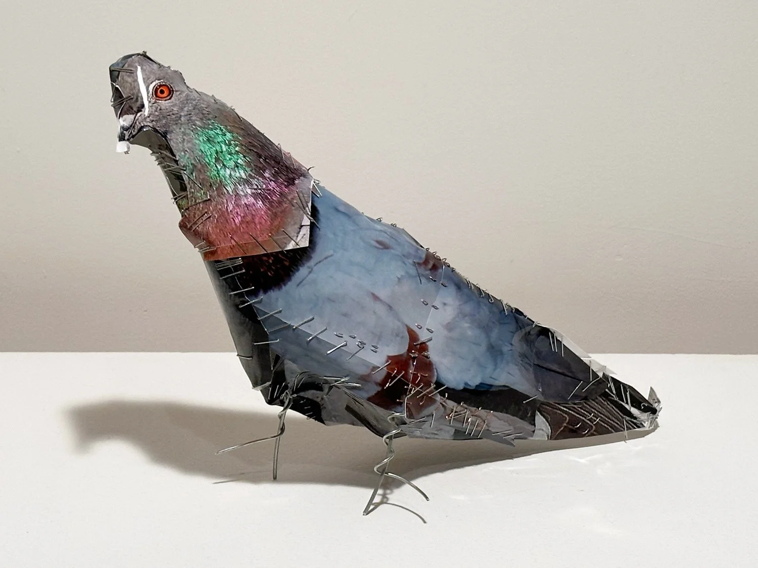 hatt_pigeon-#20_2.jpg