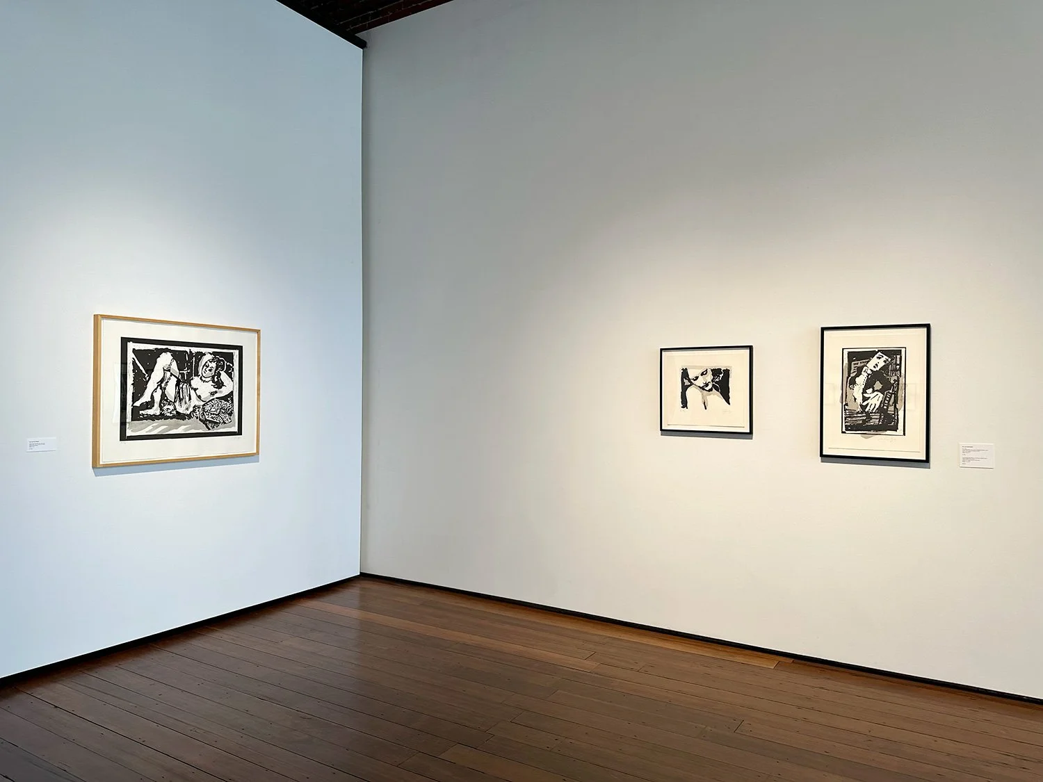 Kentridge_Works-On-Paper-2000-2018_install-3.jpg