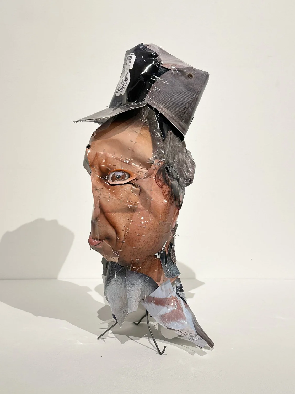 hatt_self-portrait-as-pigeon_6.jpg