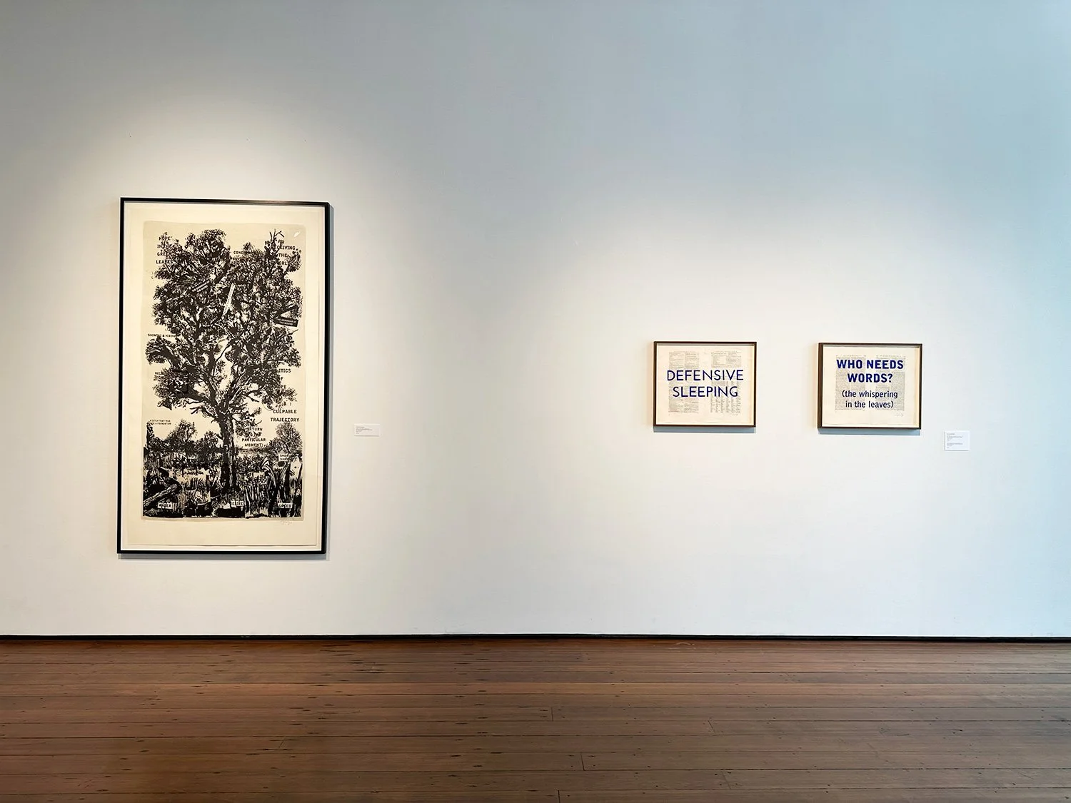 Kentridge_Works-On-Paper-2000-2018_install-4.jpg