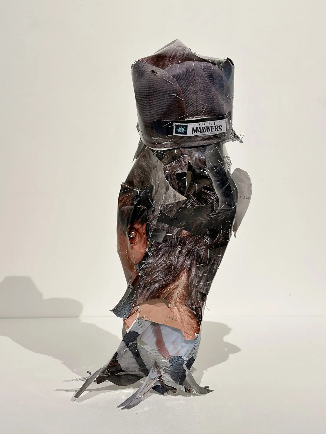 hatt_self-portrait-as-pigeon_4.jpg