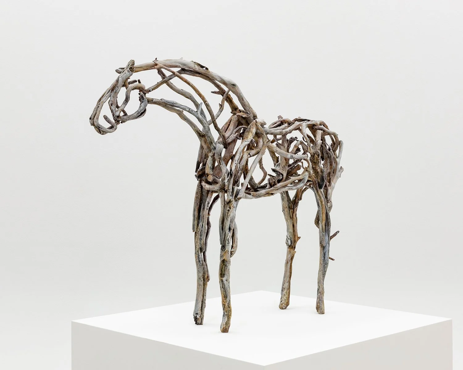 5481.1_Butterfield_Small-Horse-3920_Final-Approval_003.jpg