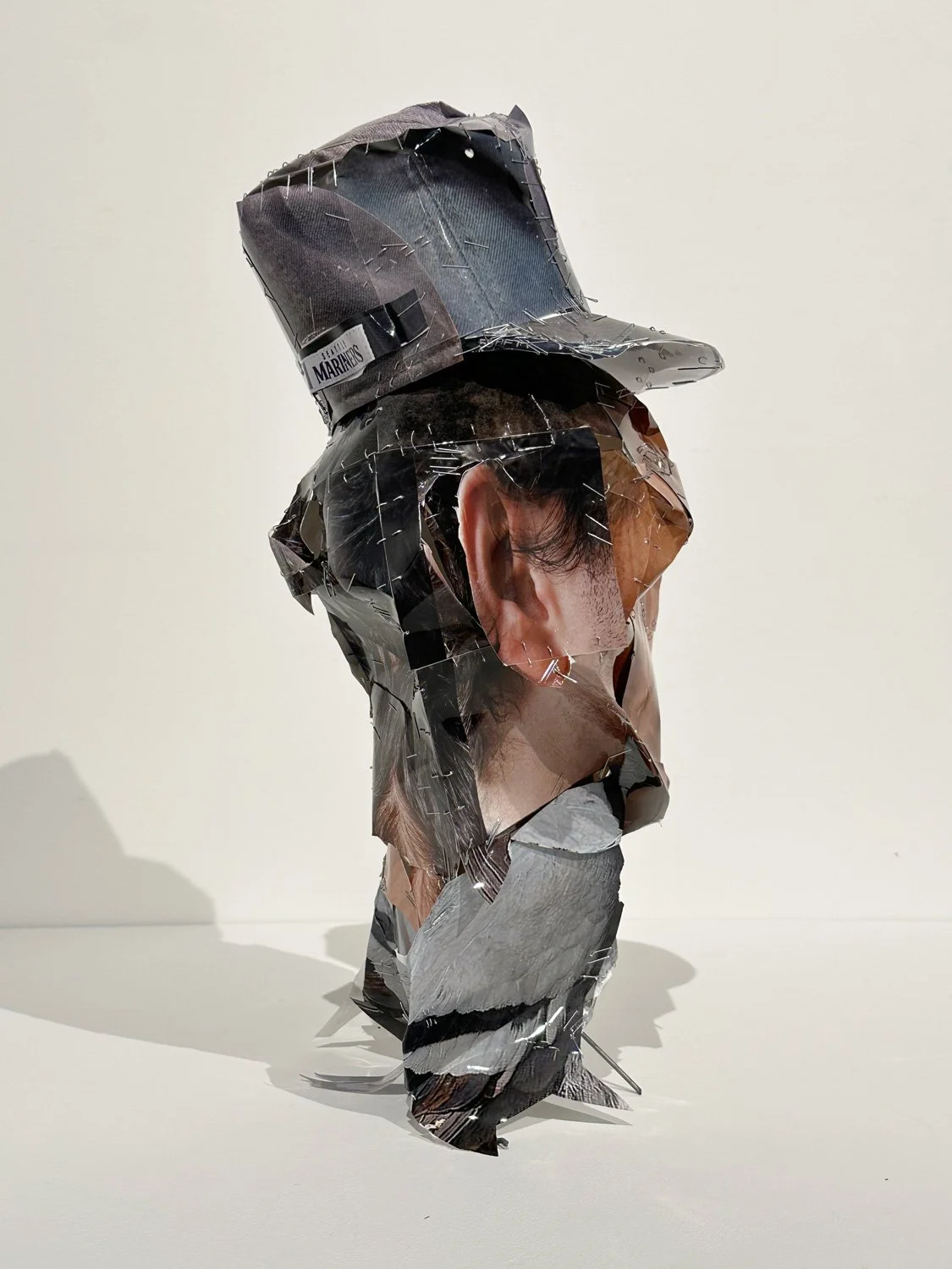 hatt_self-portrait-as-pigeon_3.jpg