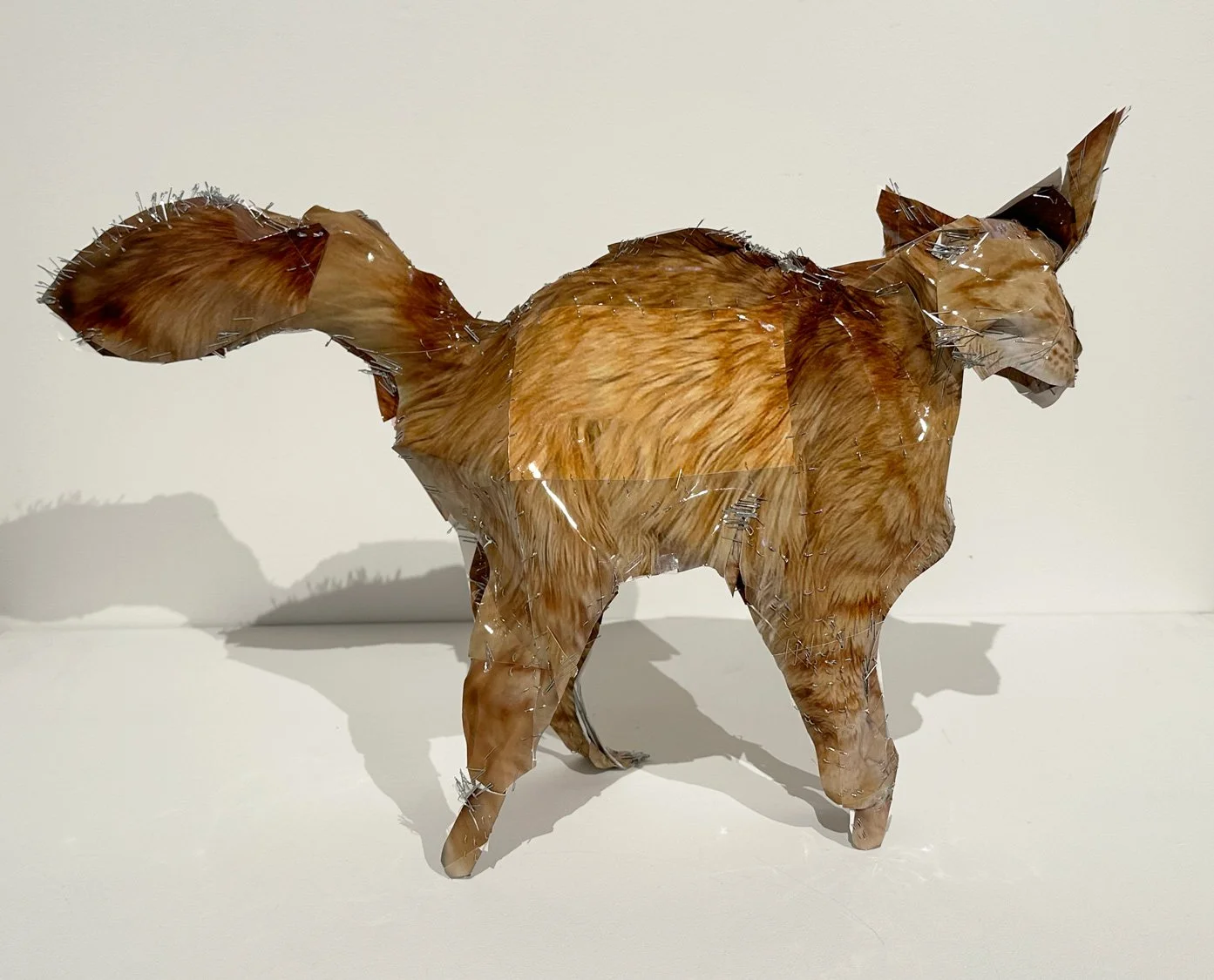 hatt_orange-cat_5.jpg