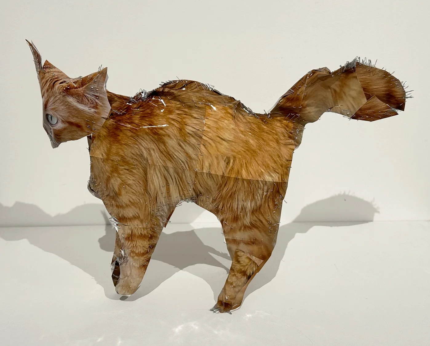 hatt_orange-cat_2.jpg