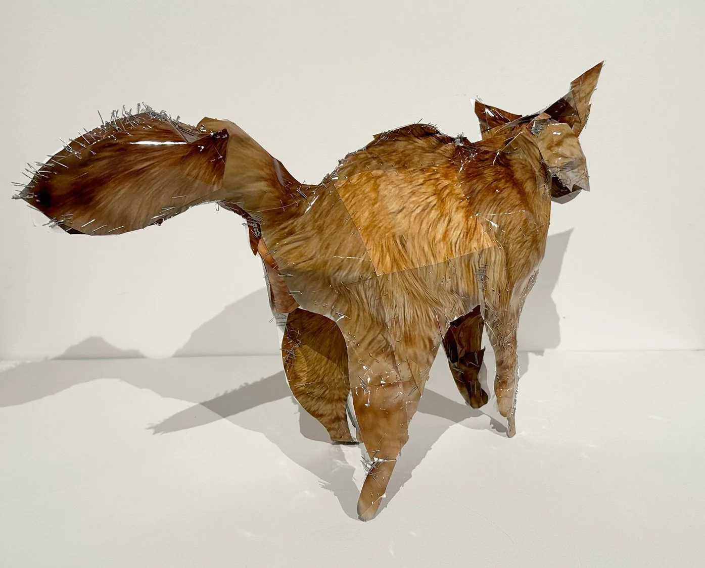 hatt_orange-cat_4.jpg