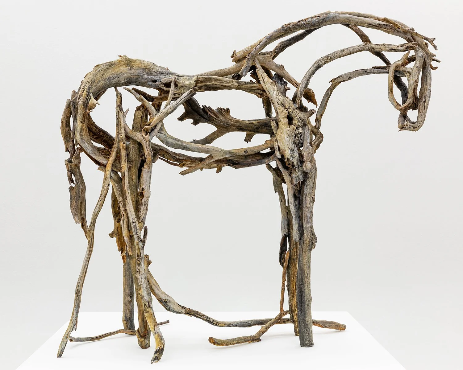 5484.1_Butterfield_Medium-Horse-3916_Final-Approval_010.jpg