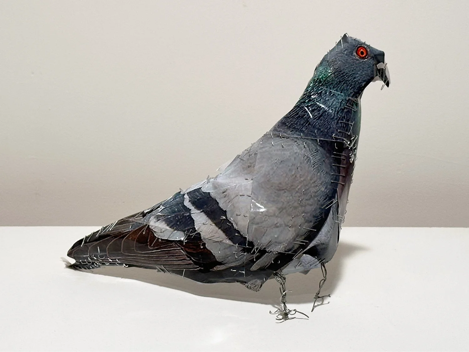 PIGEON 21, 2026