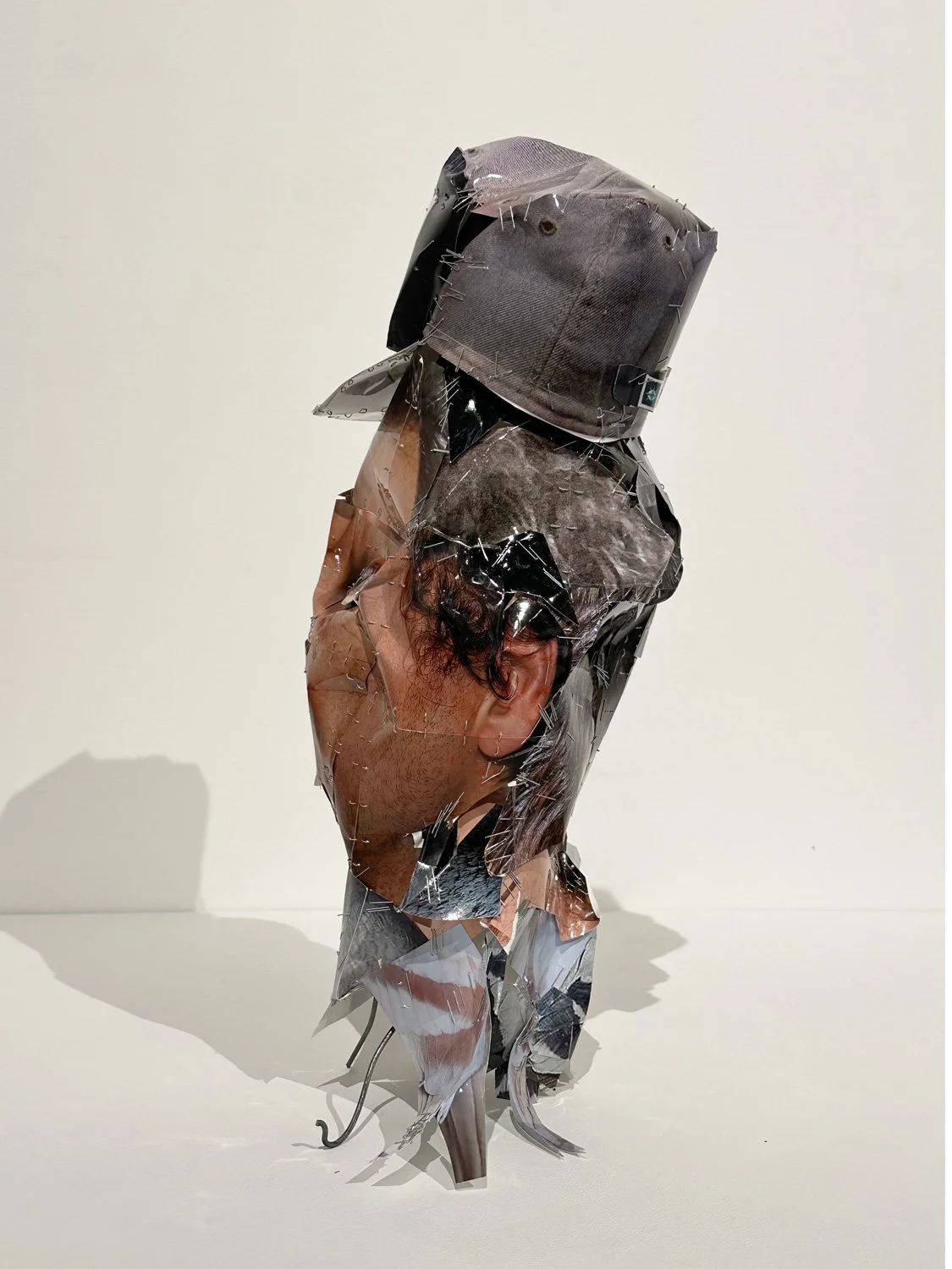 hatt_self-portrait-as-pigeon_5.jpg