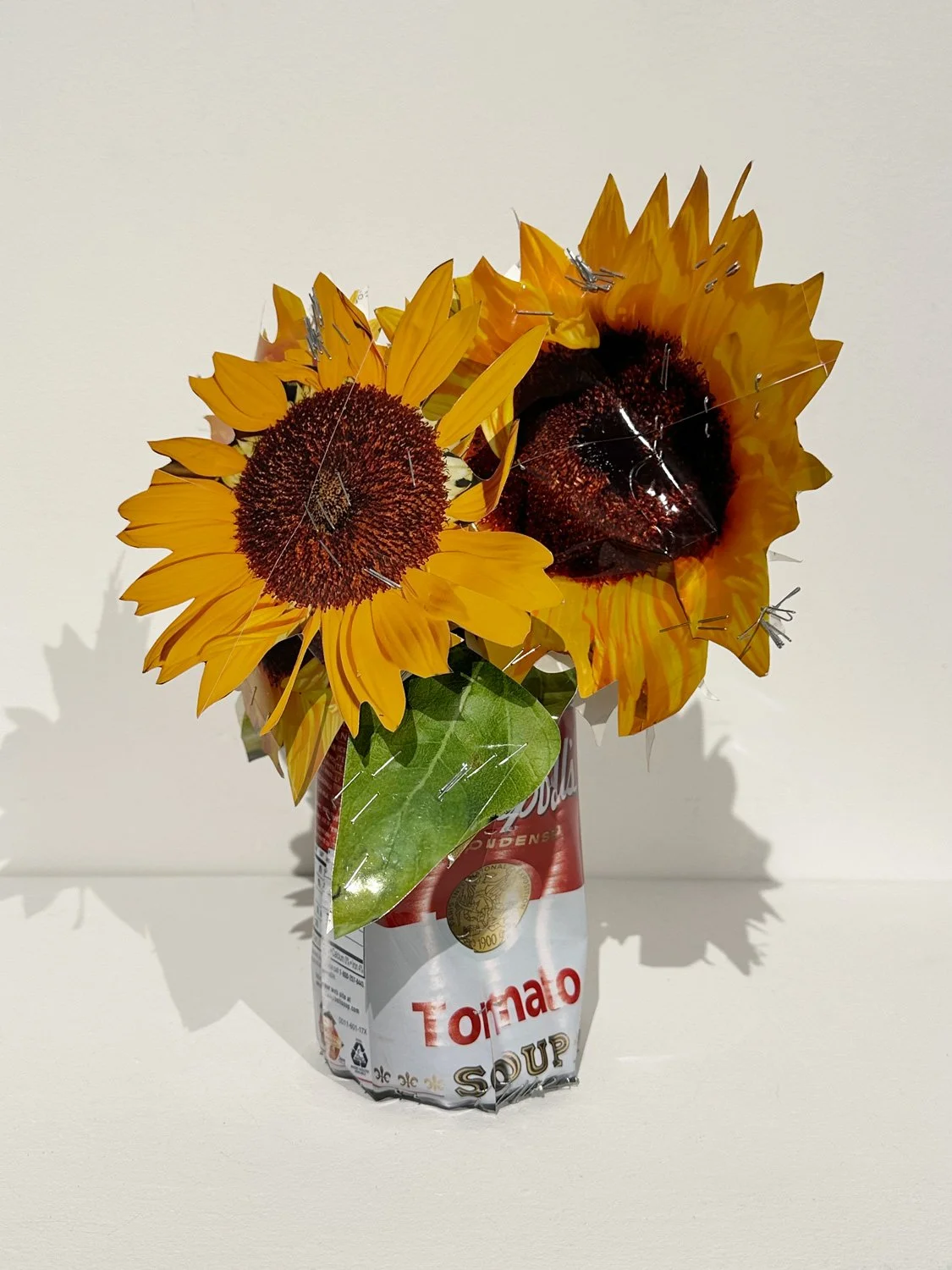 hatt_sunflowers-in-soup-can_1.jpg