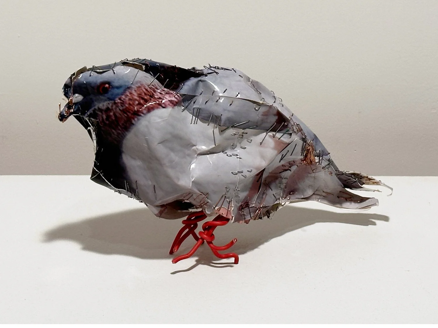 PIGEON 23, 2026
