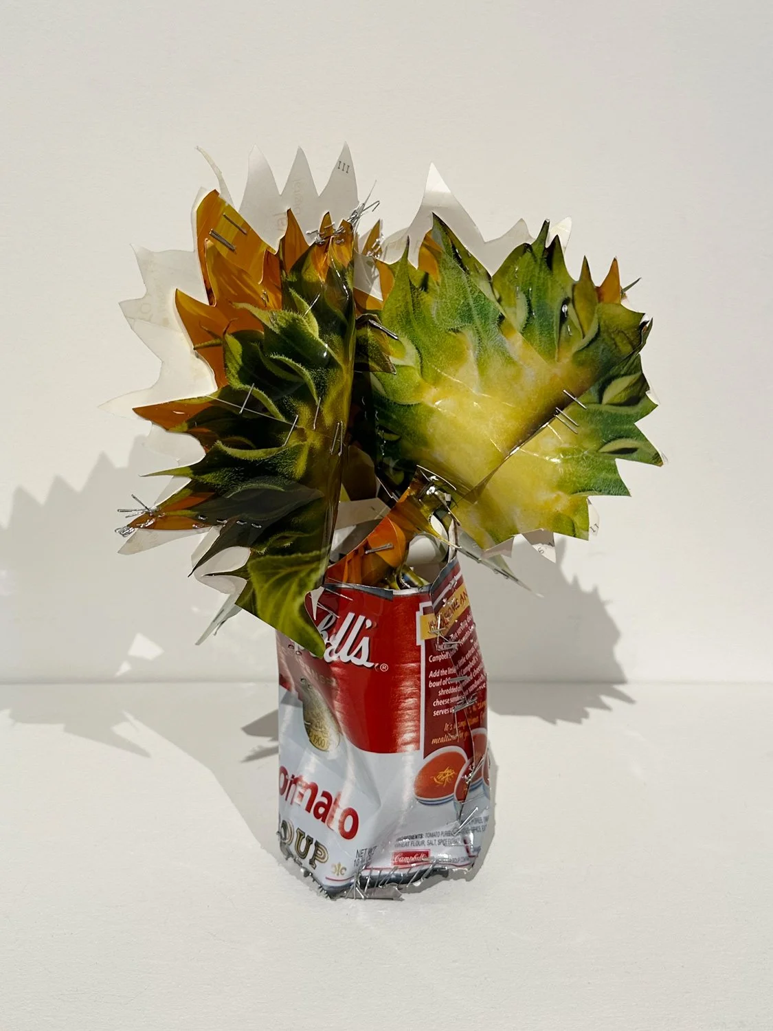 hatt_sunflowers-in-soup-can_2.jpg