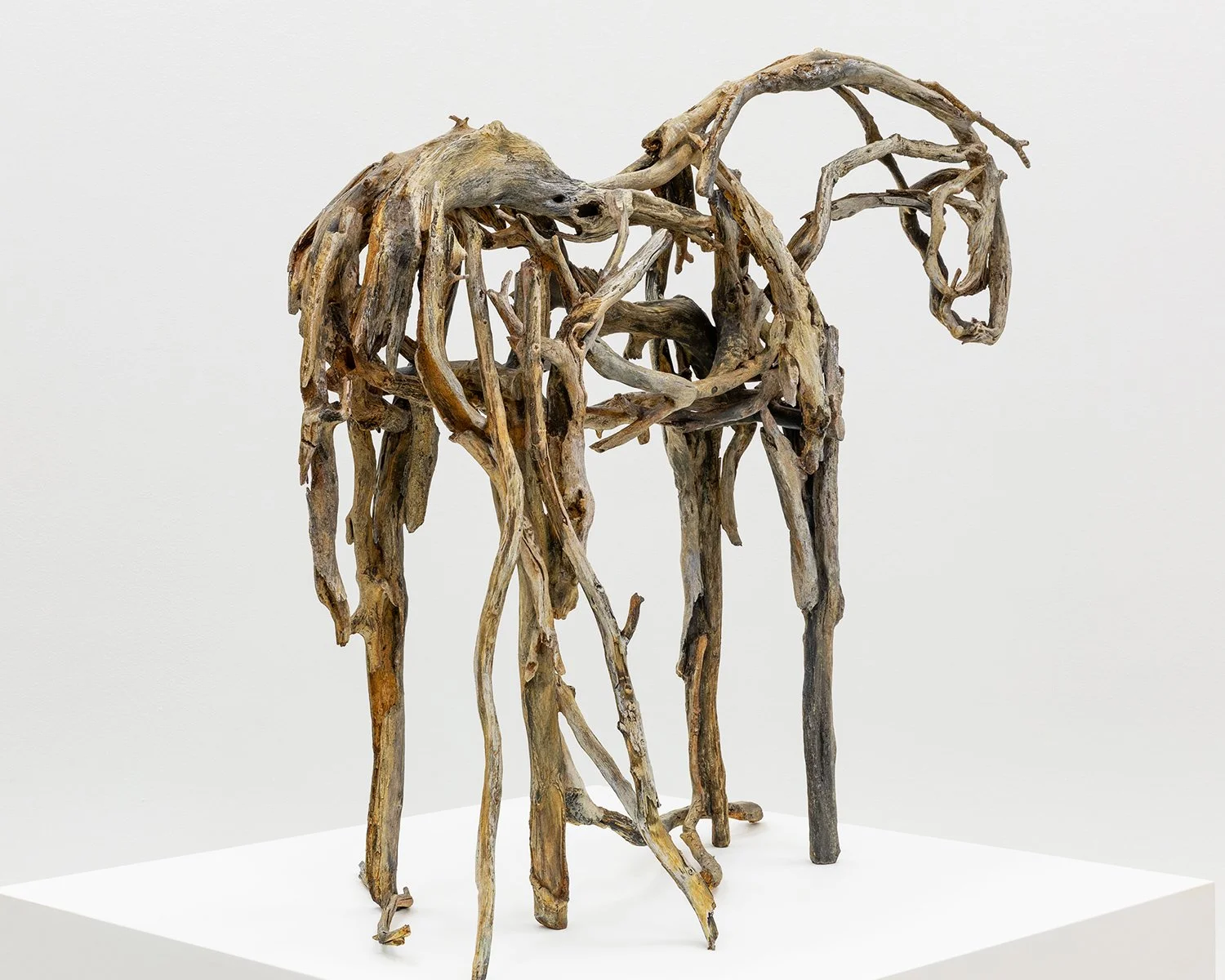 5484.1_Butterfield_Medium-Horse-3916_Final-Approval_012.jpg