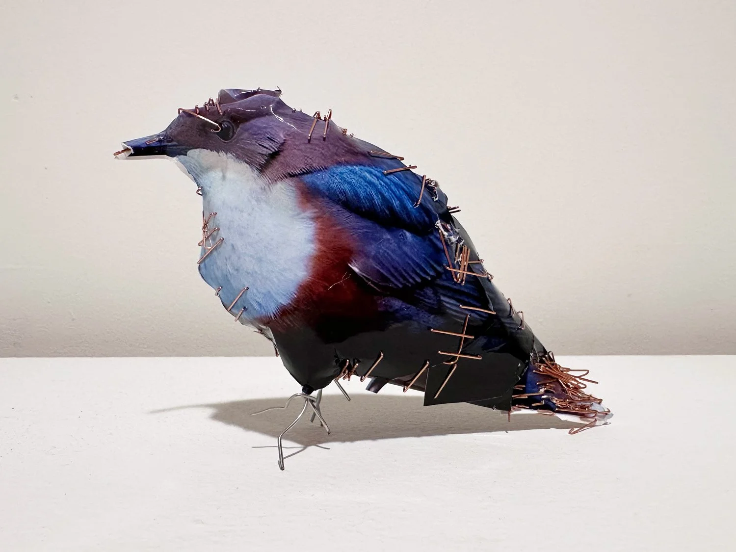 hatt_little-bird-2_2.jpg