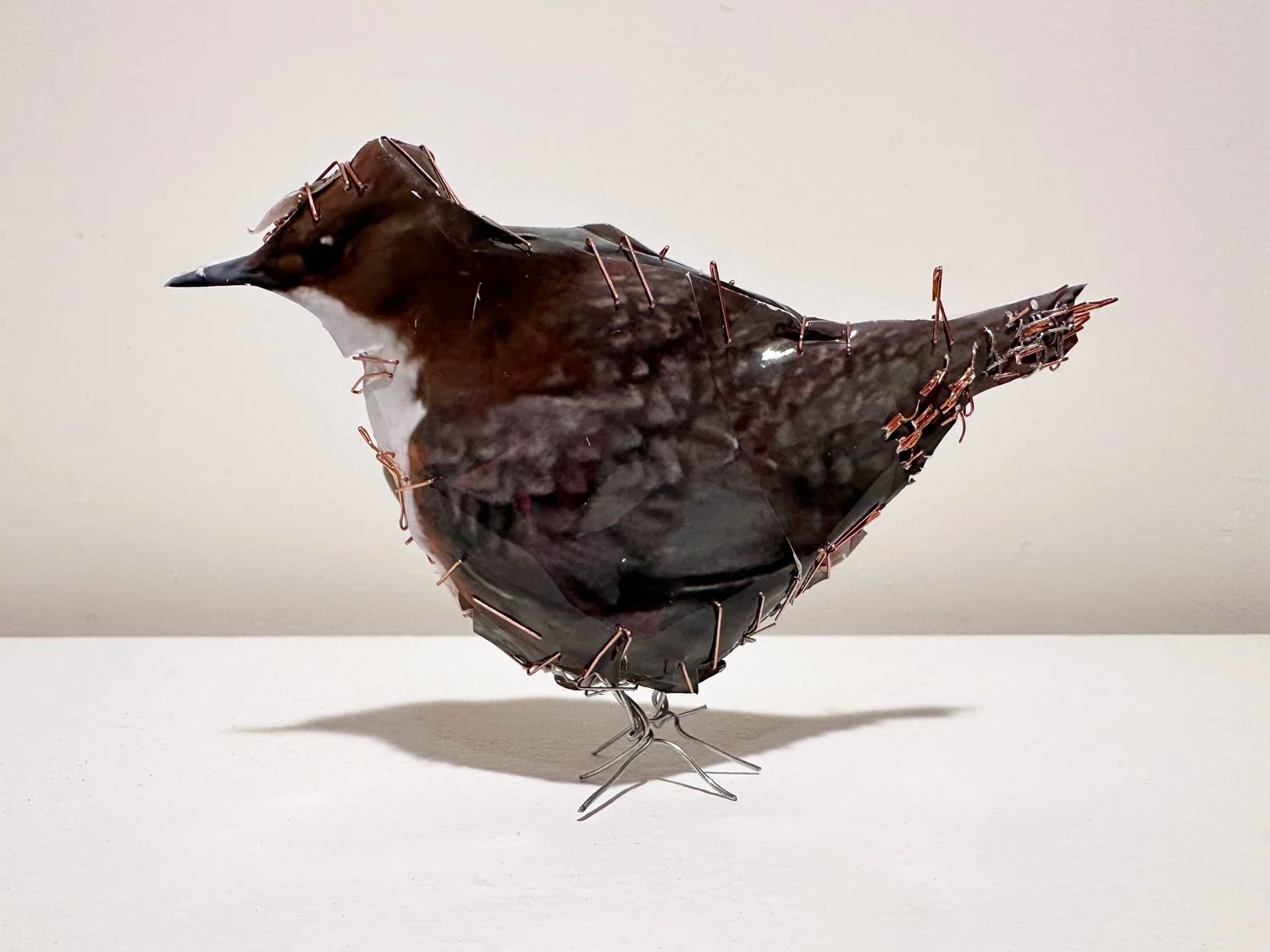 hatt_little-bird-3_2.jpg