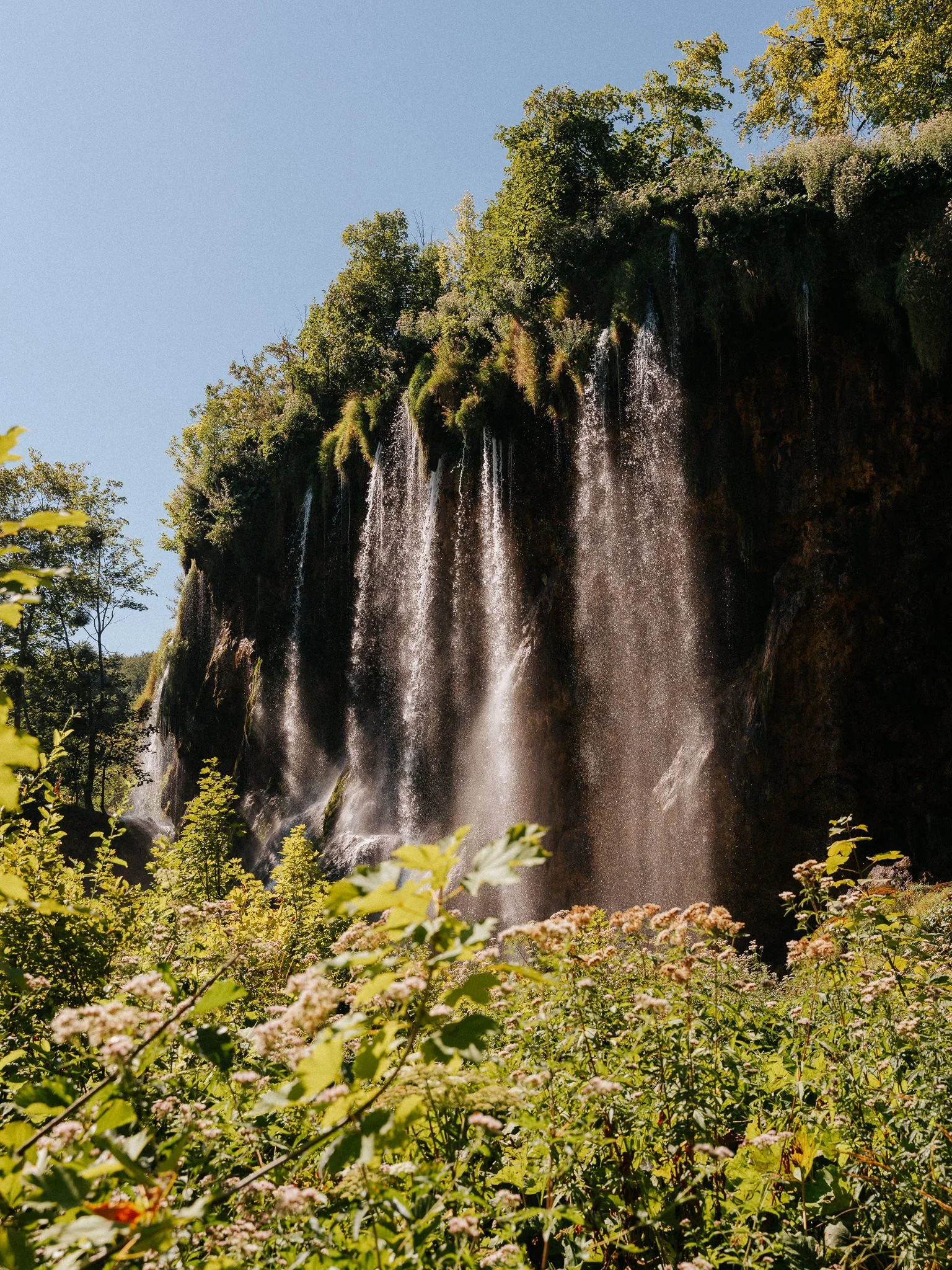 Flowing waterfall cascading down a rocky cliff surrounded by lush green foliage and flowering plants under a clear blue sky.