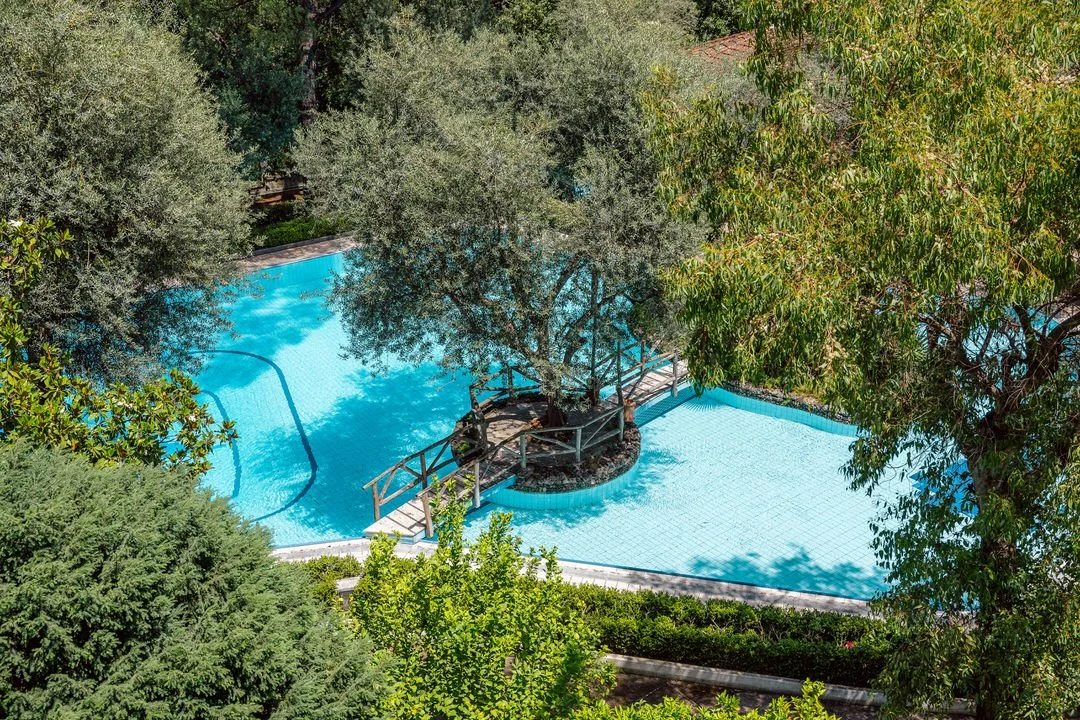 A swimming pool with a bridge over it, surrounded by trees and greenery.