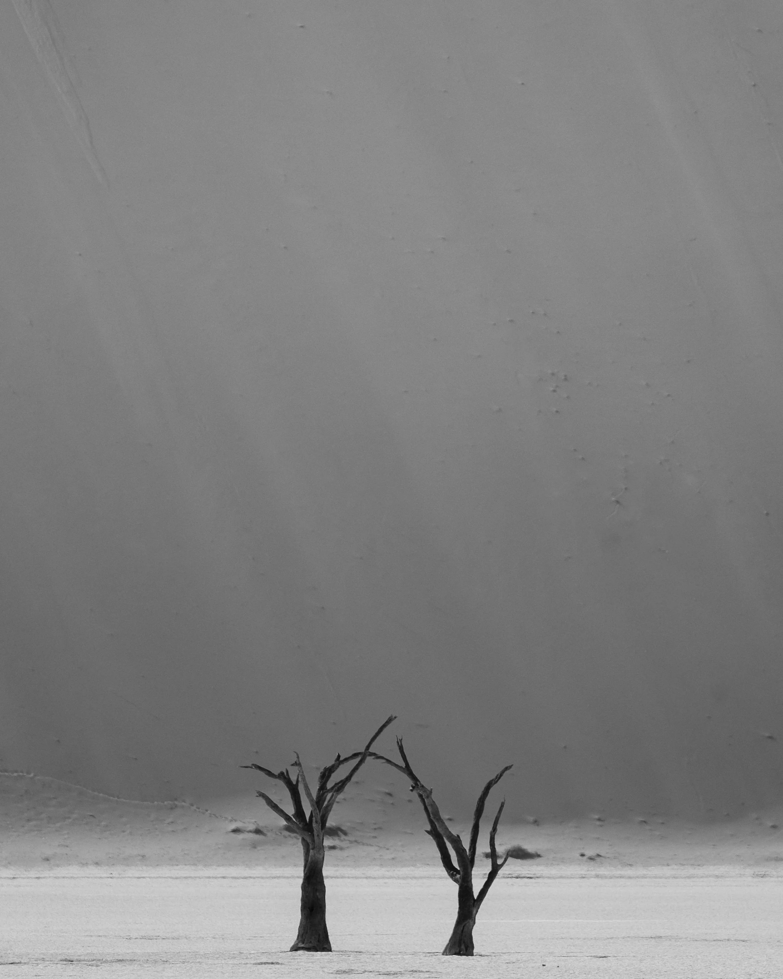 Black and white photo of two leafless trees in a barren landscape with a large, dark cloud in the background.