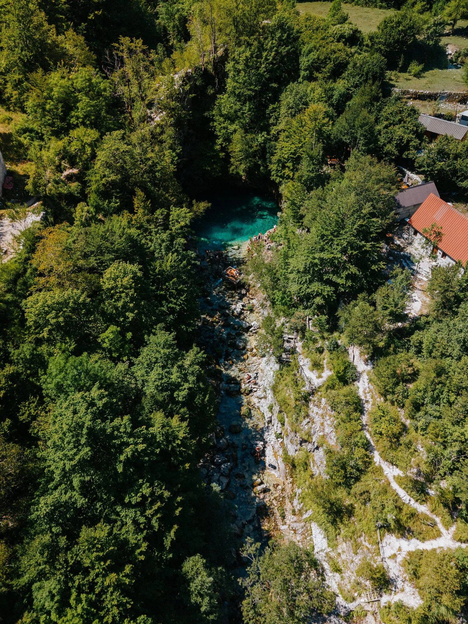 Aerial view of a dense green forest surrounding a small river, with some buildings and pathways visible.