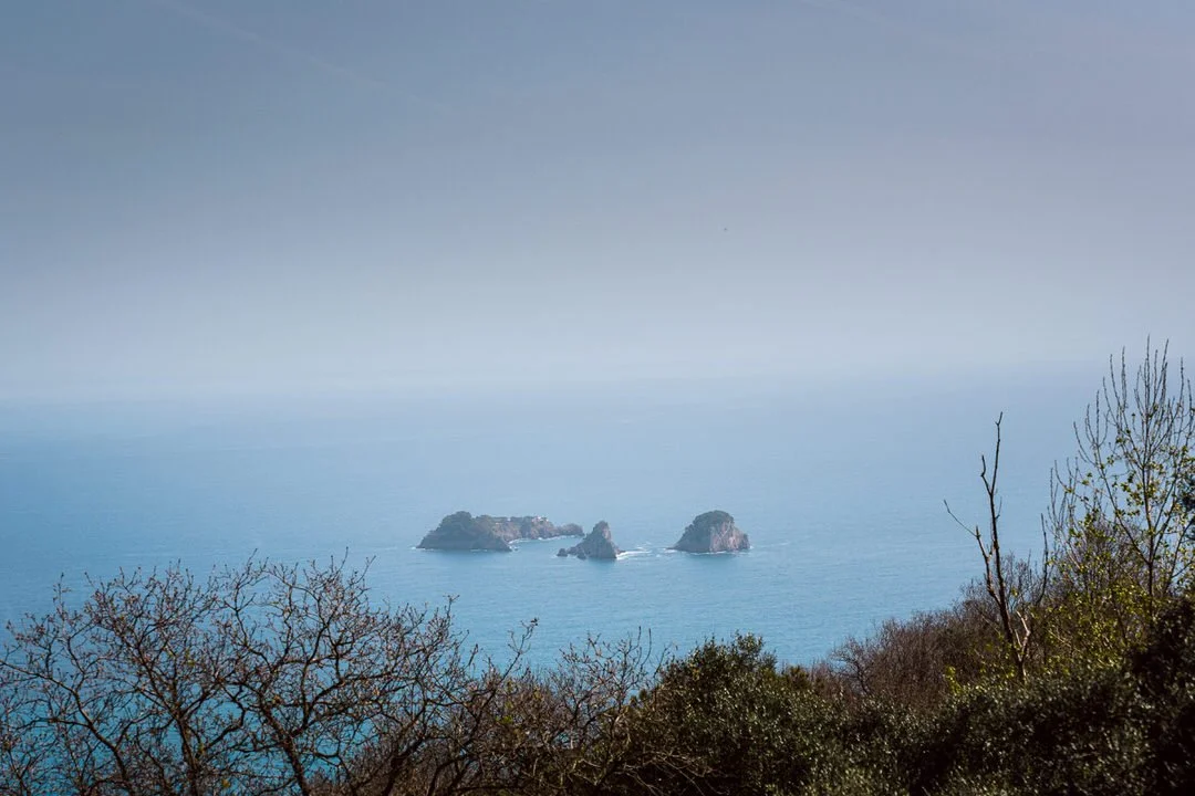 View of the ocean with three small islands in the distance, framed by leafless trees and sparse greenery in the foreground.