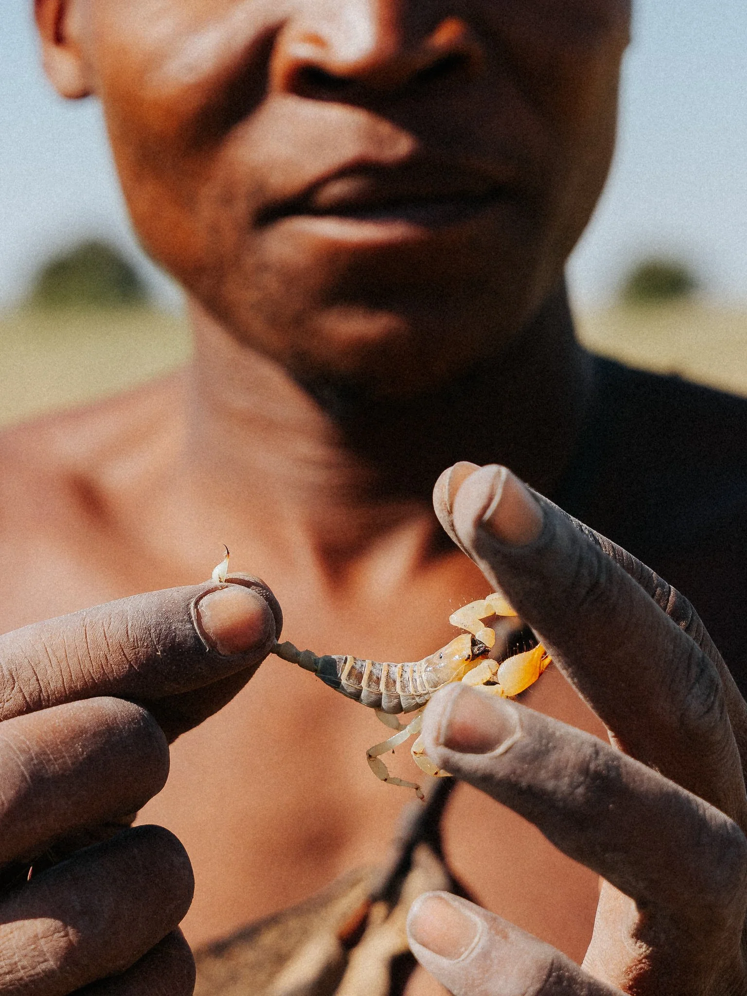 Close-up of a person with dark skin holding and releasing a small, light-colored scorpion. The background appears to be outdoors with blurred natural scenery.