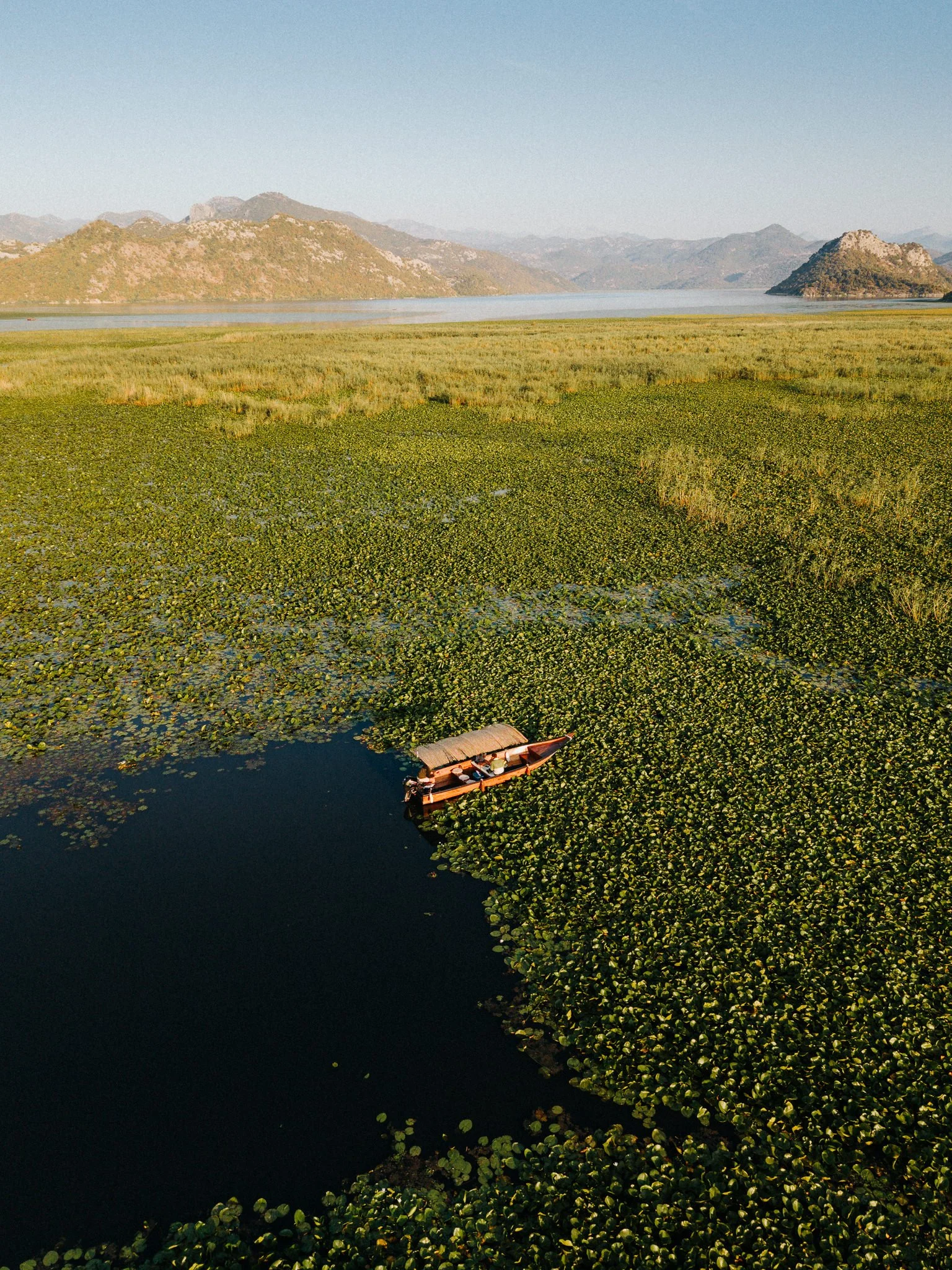A boat floating on a dark body of water covered with green lily pads, with mountains in the background and a clear sky overhead.