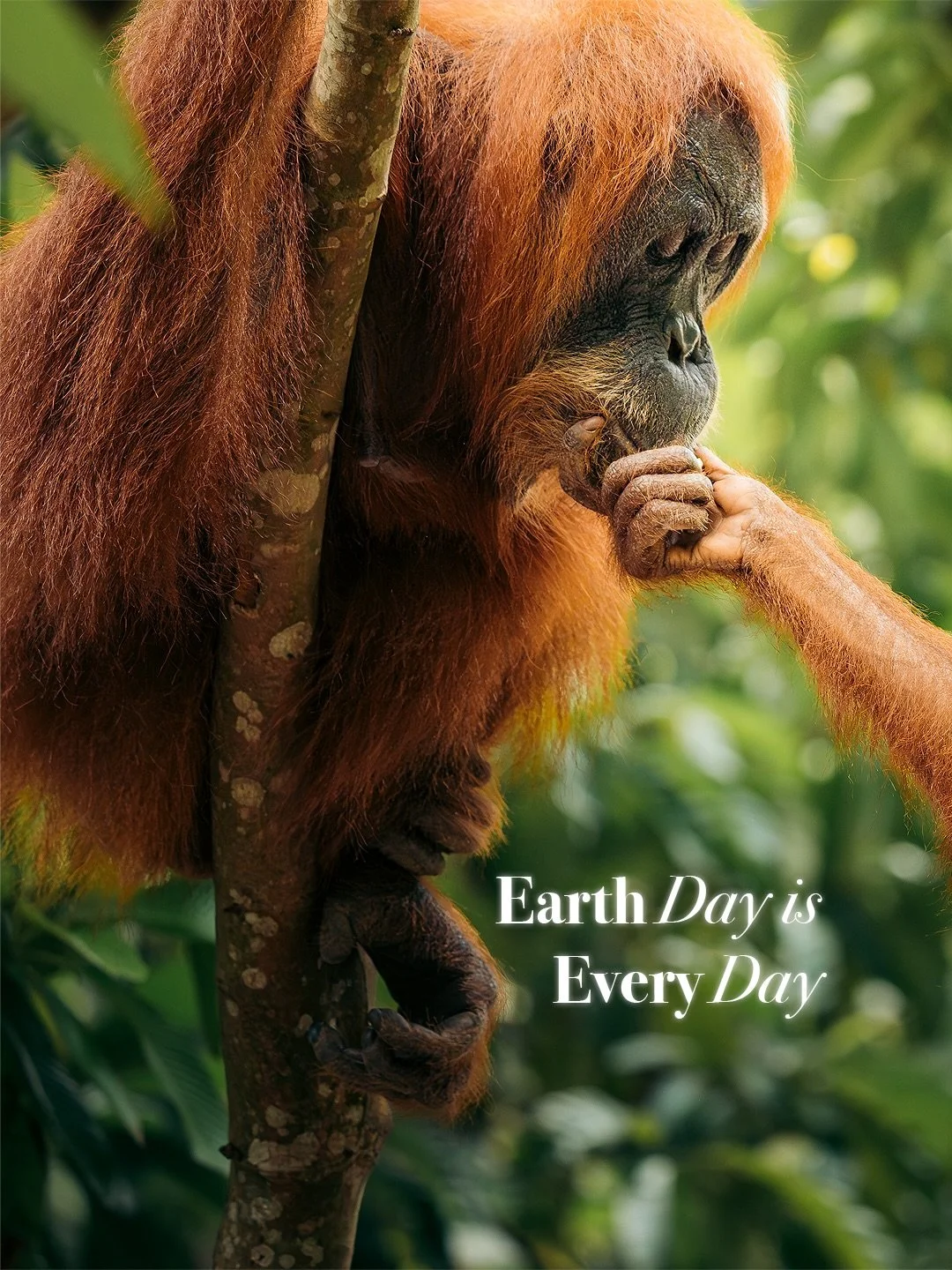 The same air, the same home, the same fragile balance.

Shared with lives we see, and many we don&rsquo;t.

A quiet truth we don&rsquo;t always think about - but should. 🌍

#earthday #travel #explore #photography #natgeo