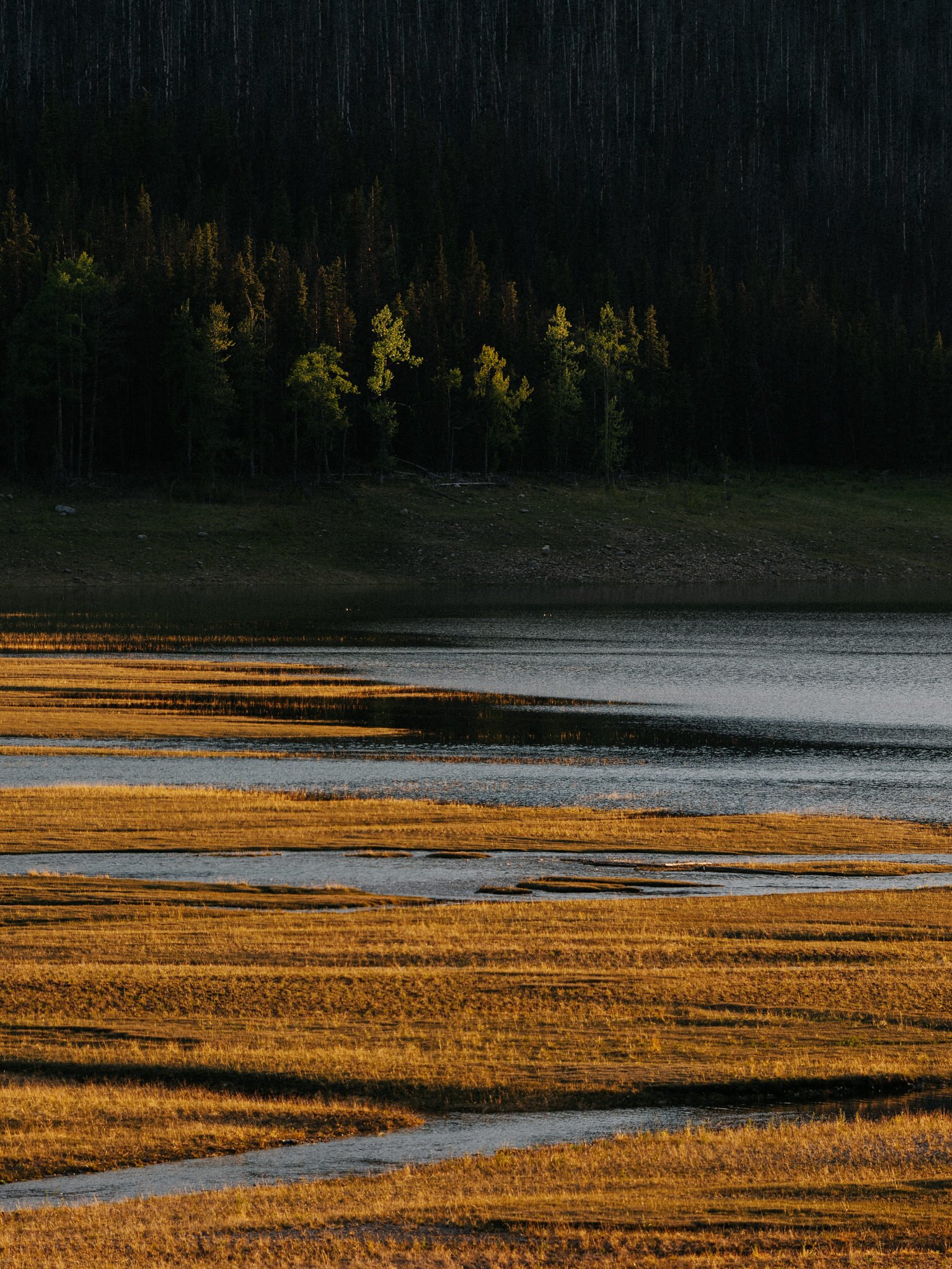 Sunset over a forested landscape with tall trees and a body of water in the foreground.