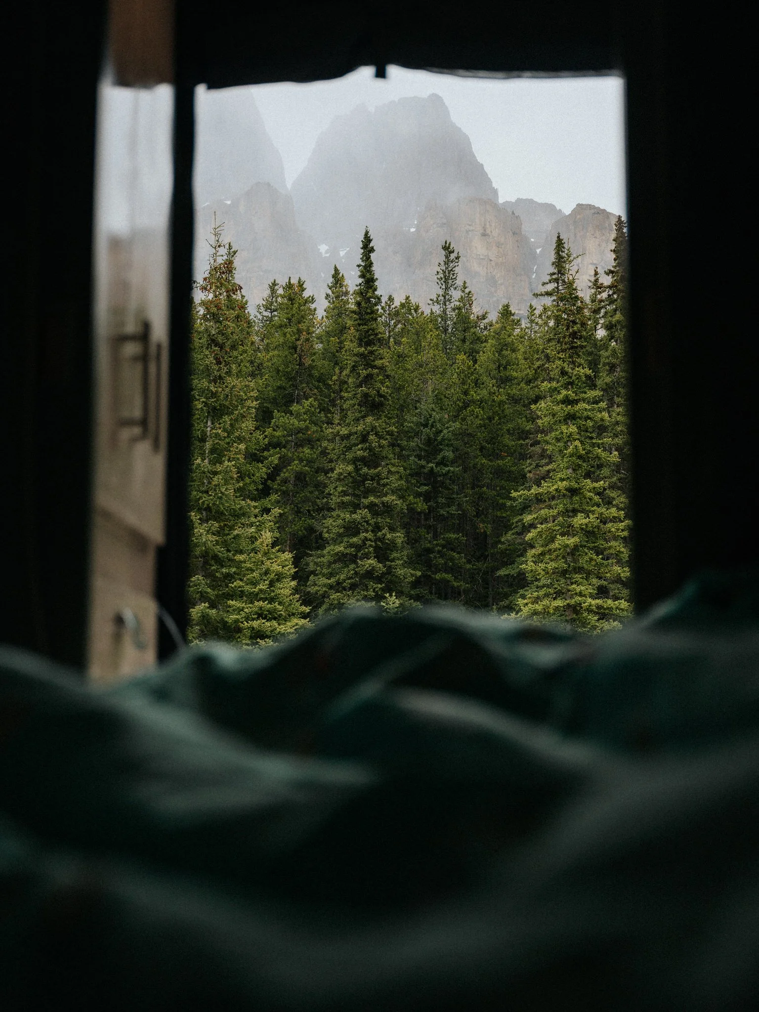 Mountain peaks viewed through a window with a forest of green pine trees in the foreground.