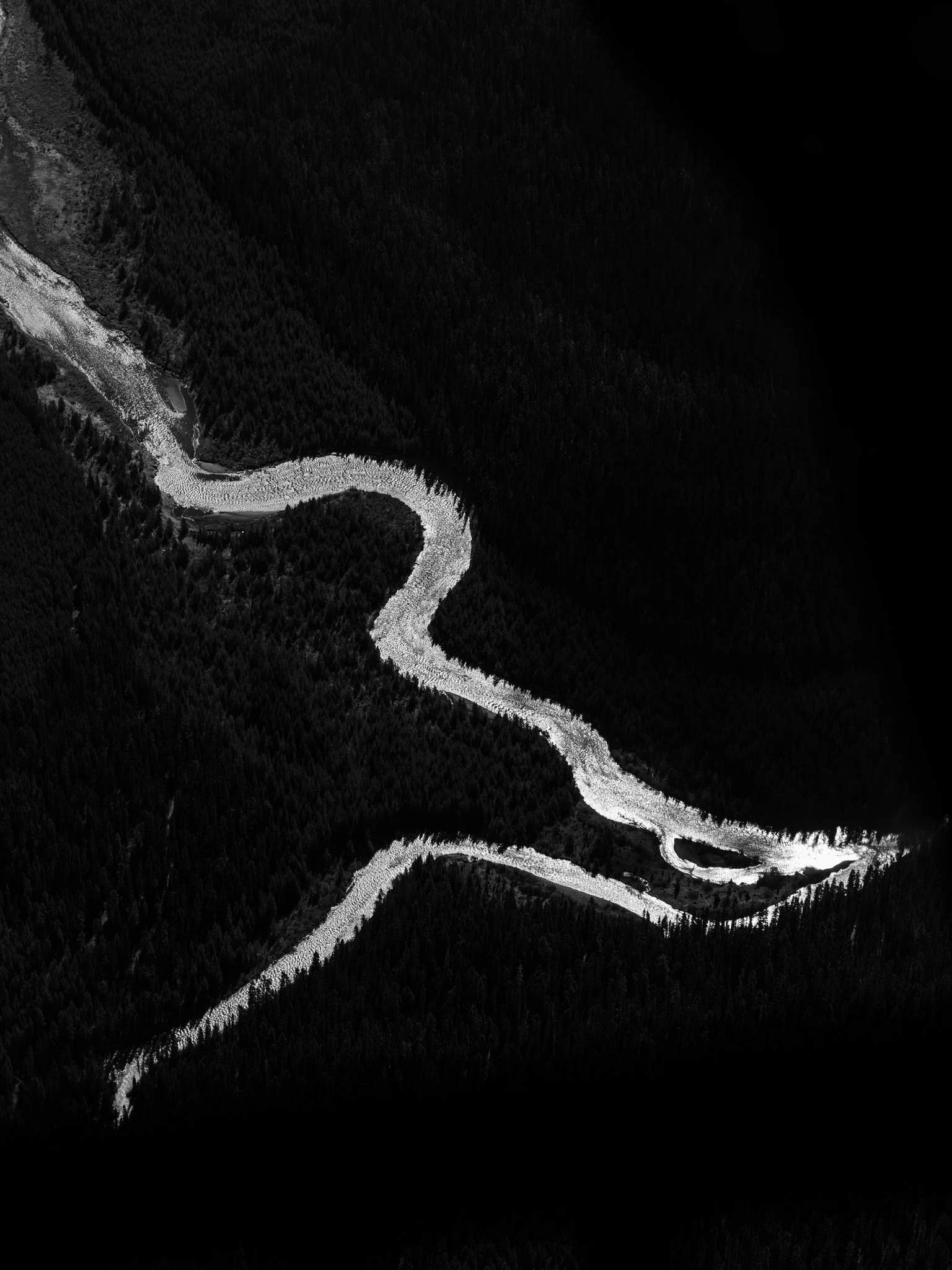 A black and white aerial view of a winding river flowing through a dense forested landscape.