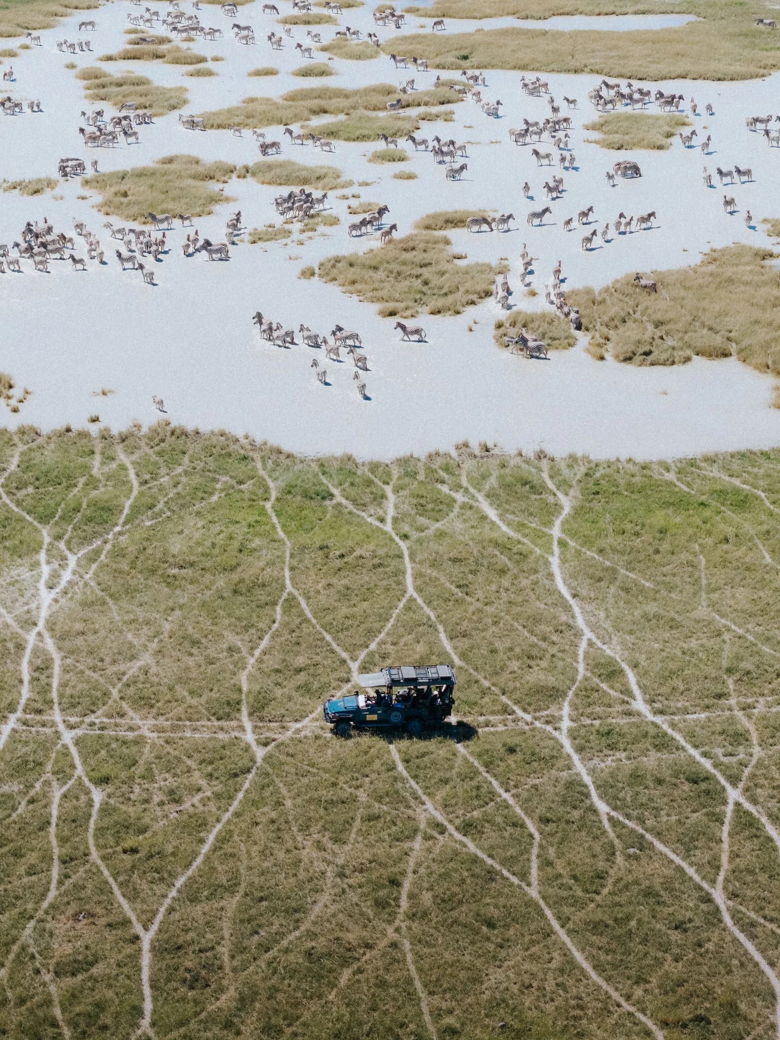 An aerial view of a herd of zebras in a landscape with patches of grass and sand, and a vehicle traveling on a path.