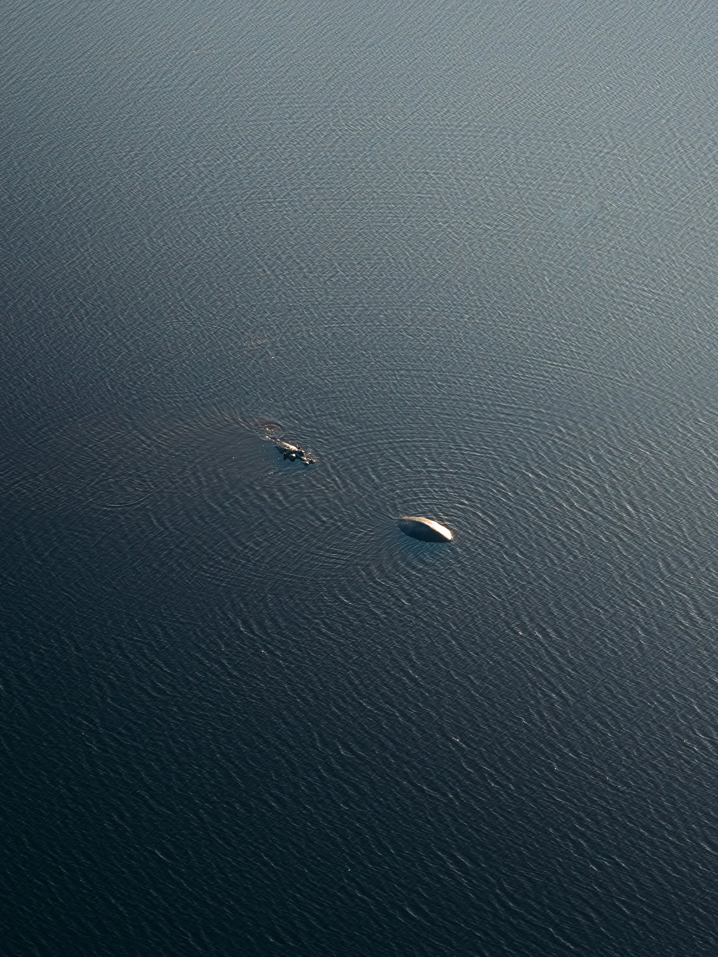 A large body of water with a small boat moving across it, creating ripples, and a yacht nearby.