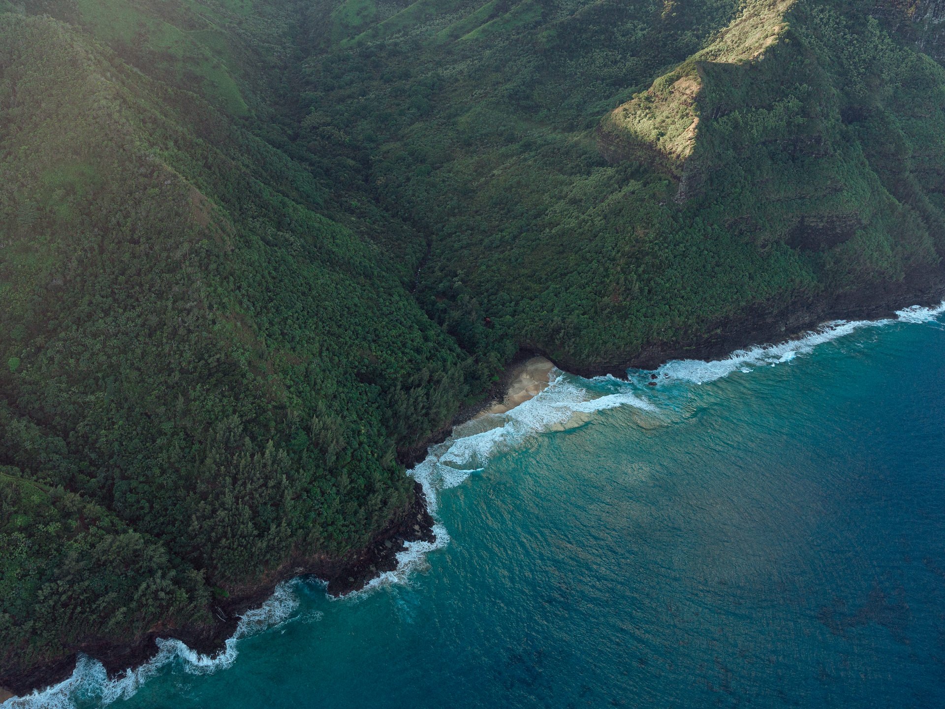 Aerial view of dense green forested coastal cliffs meeting the ocean with waves crashing against the shoreline.