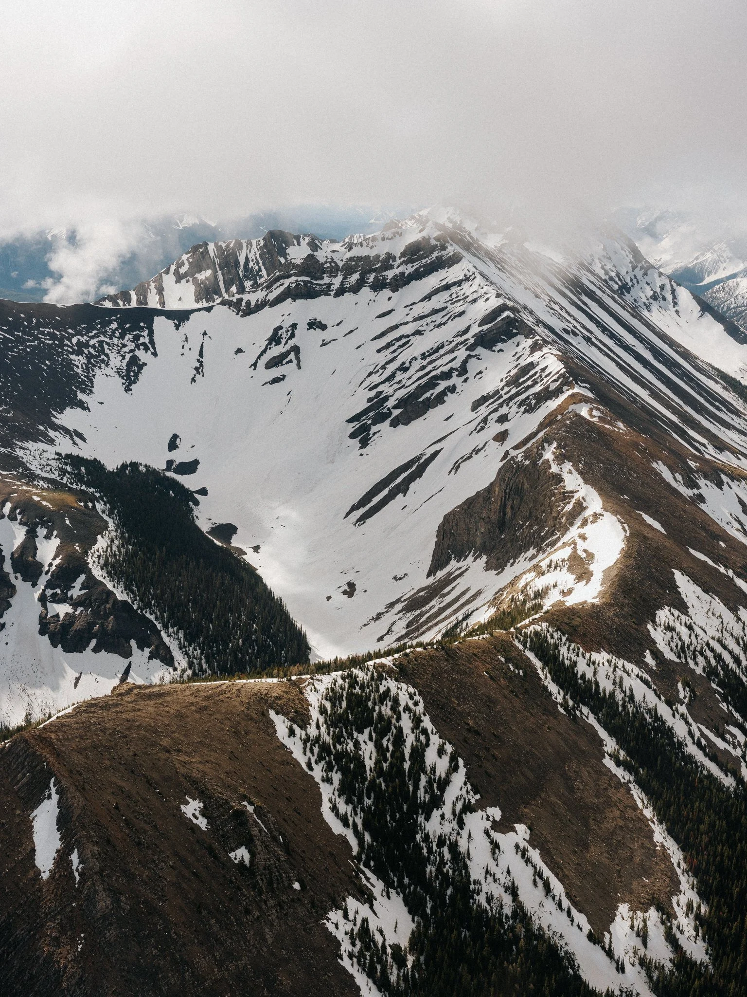Snow-capped mountain peaks, with dark rocky ridges and patches of conifer trees on the slopes, under an overcast sky.
