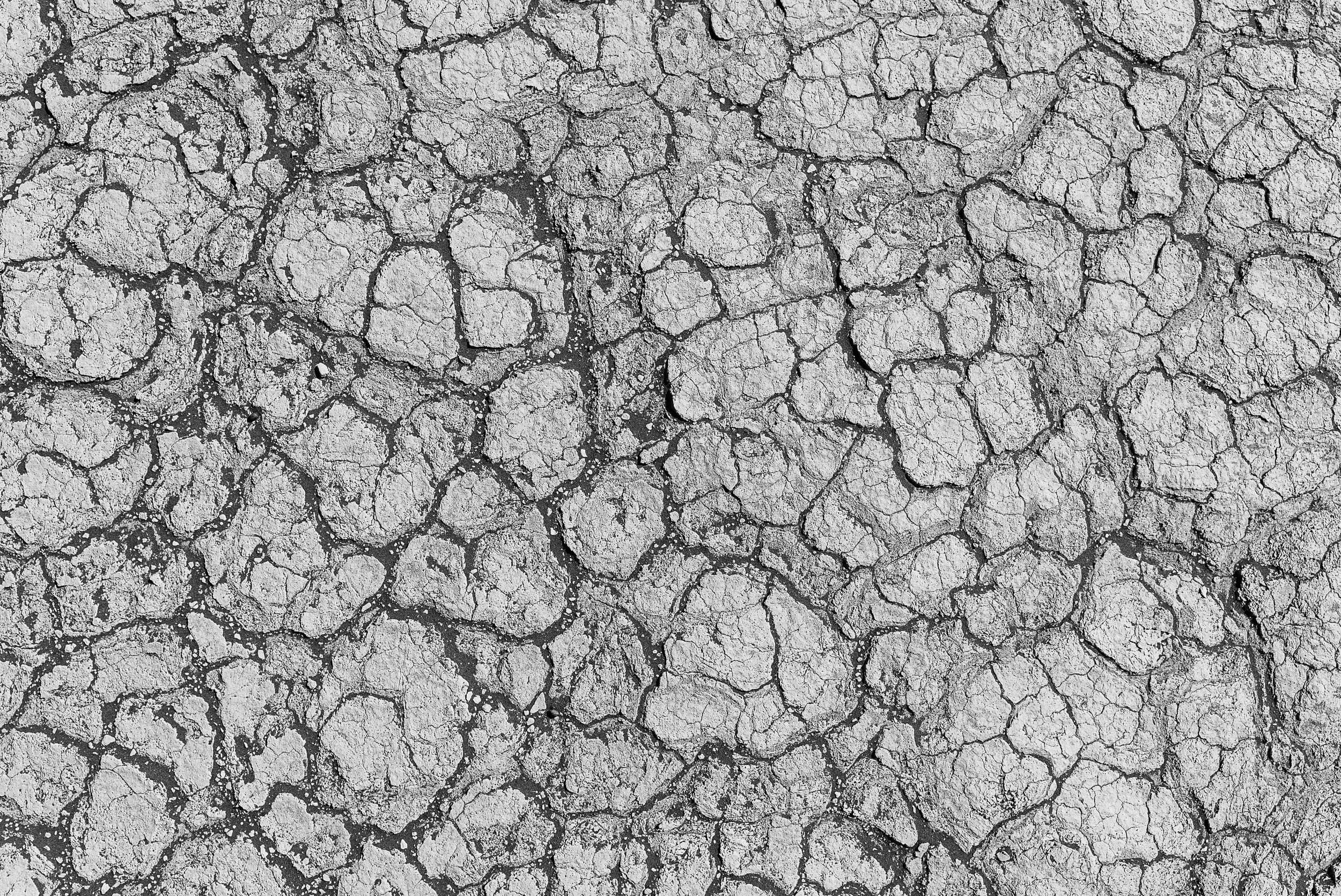 Dry cracked earth with irregular fissures.