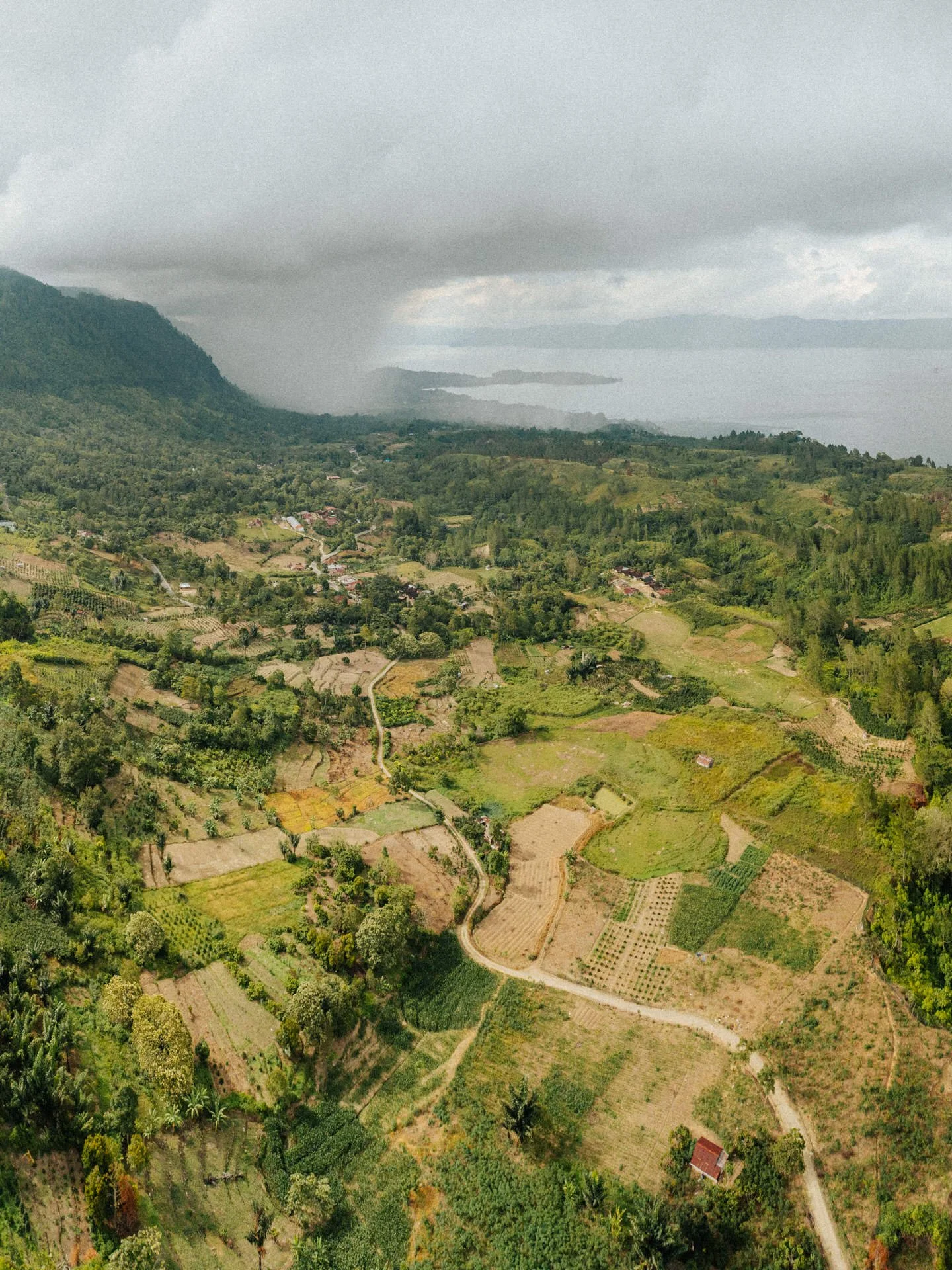 A lush, green landscape with a patchwork of agricultural fields, winding dirt roads, and dense trees, with hills and mountains in the background under a cloudy sky.
