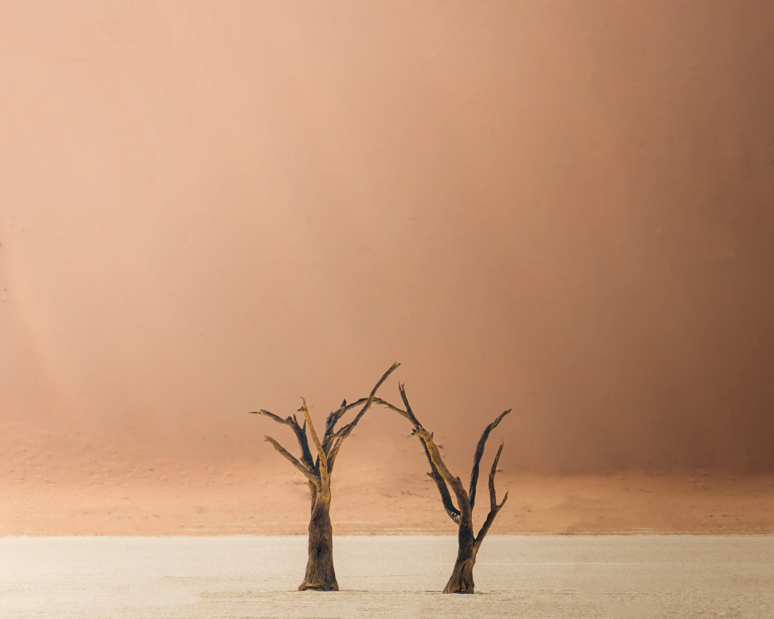Two barren, leafless trees on a flat, beige landscape with a peach-colored sky in the background.