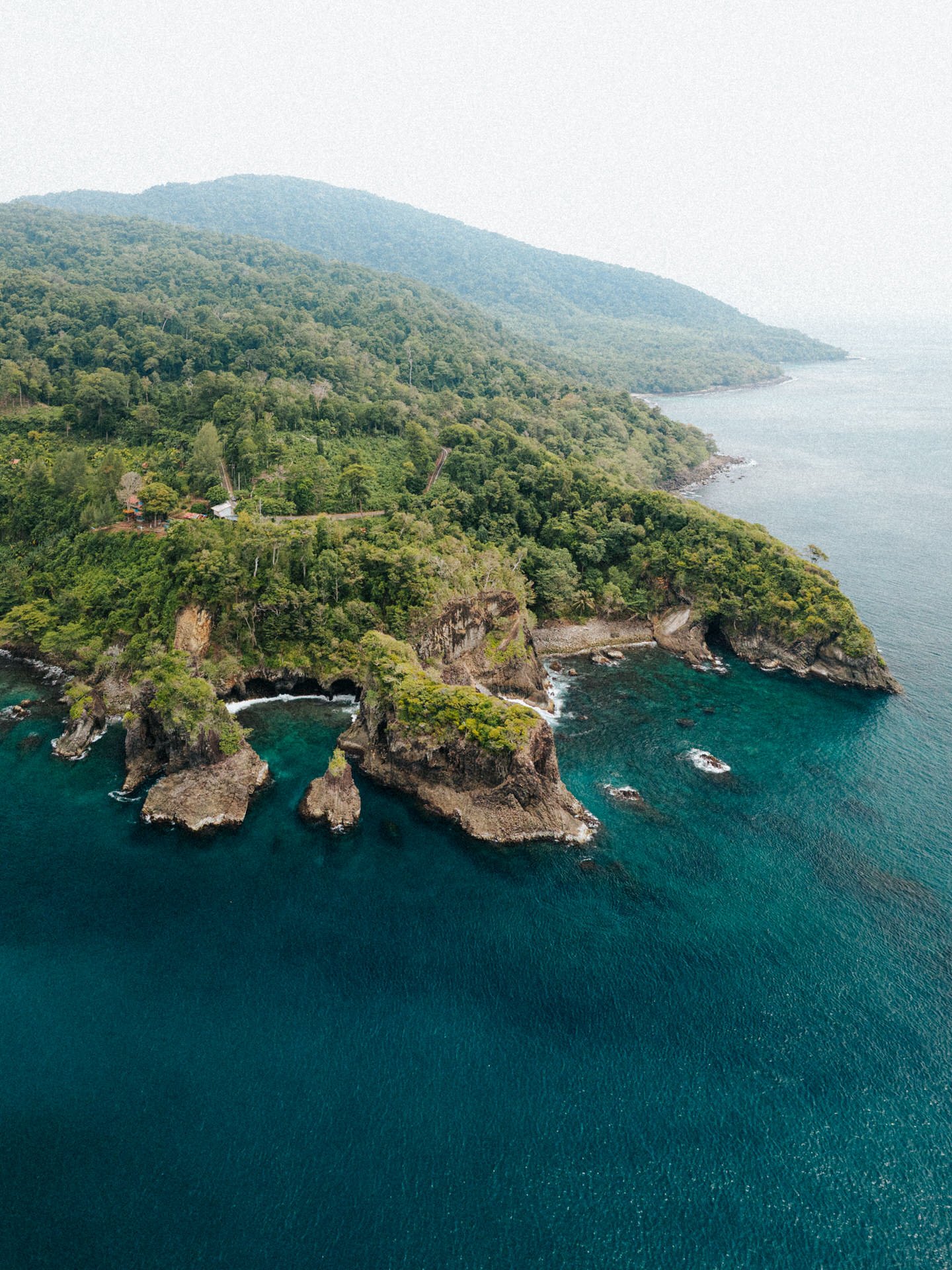 Aerial view of a lush green coastal landscape with rocky cliffs and arch formations surrounded by deep blue ocean, along a forested shoreline.