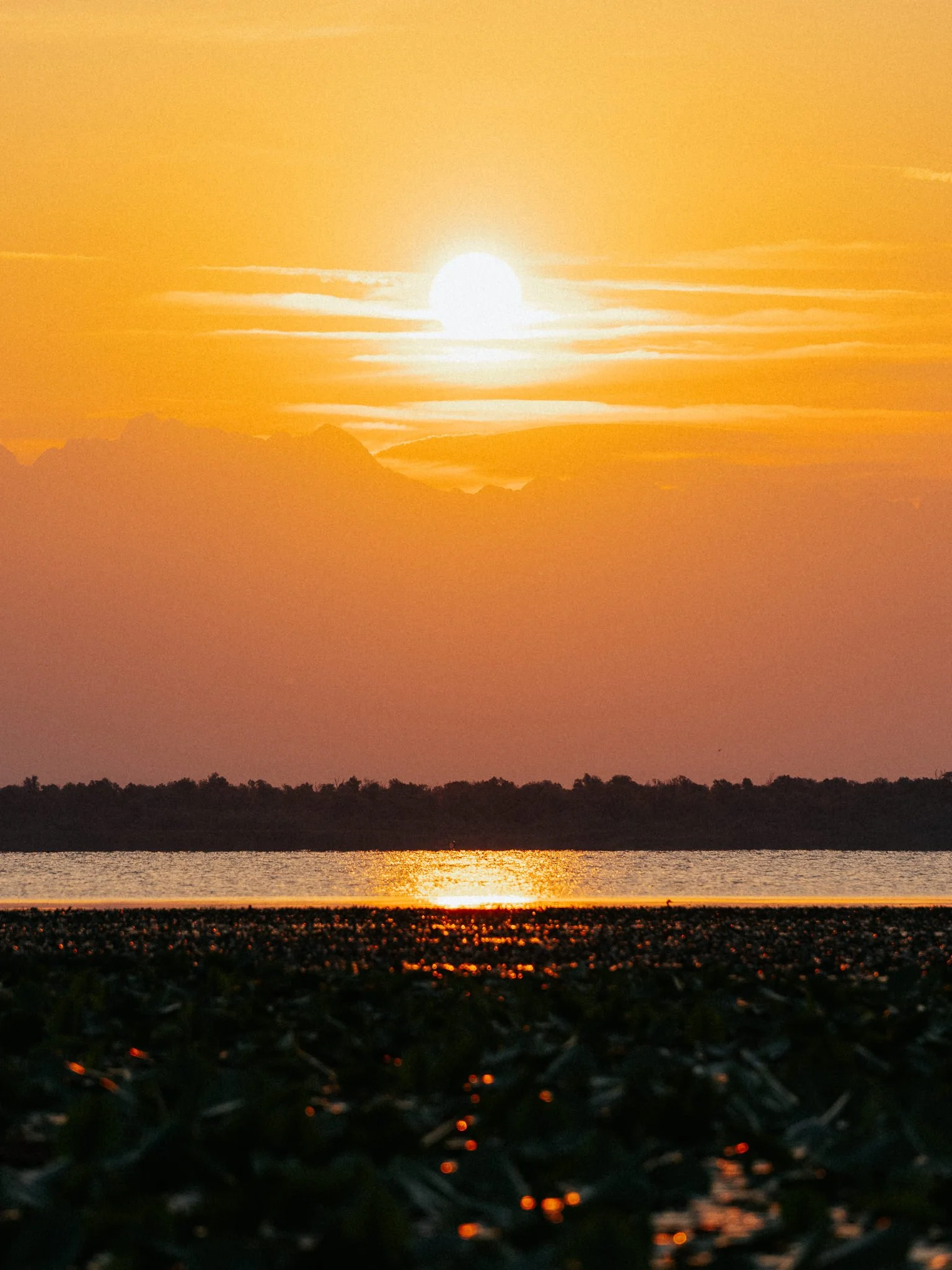 Sunset over a body of water with silhouettes of trees and distant mountains in the background.