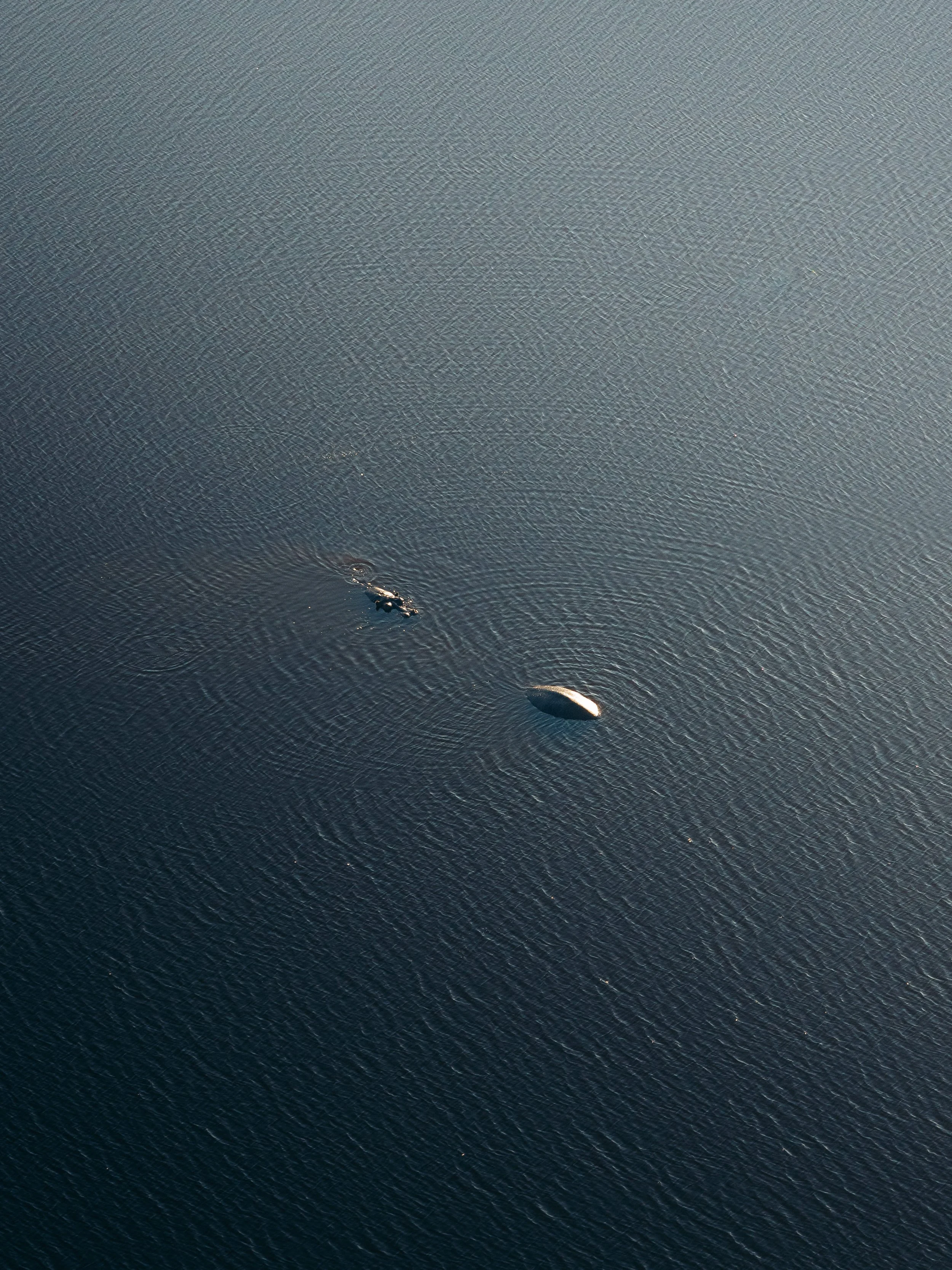 An aerial view of a boat traveling across a body of water with a wake behind it.