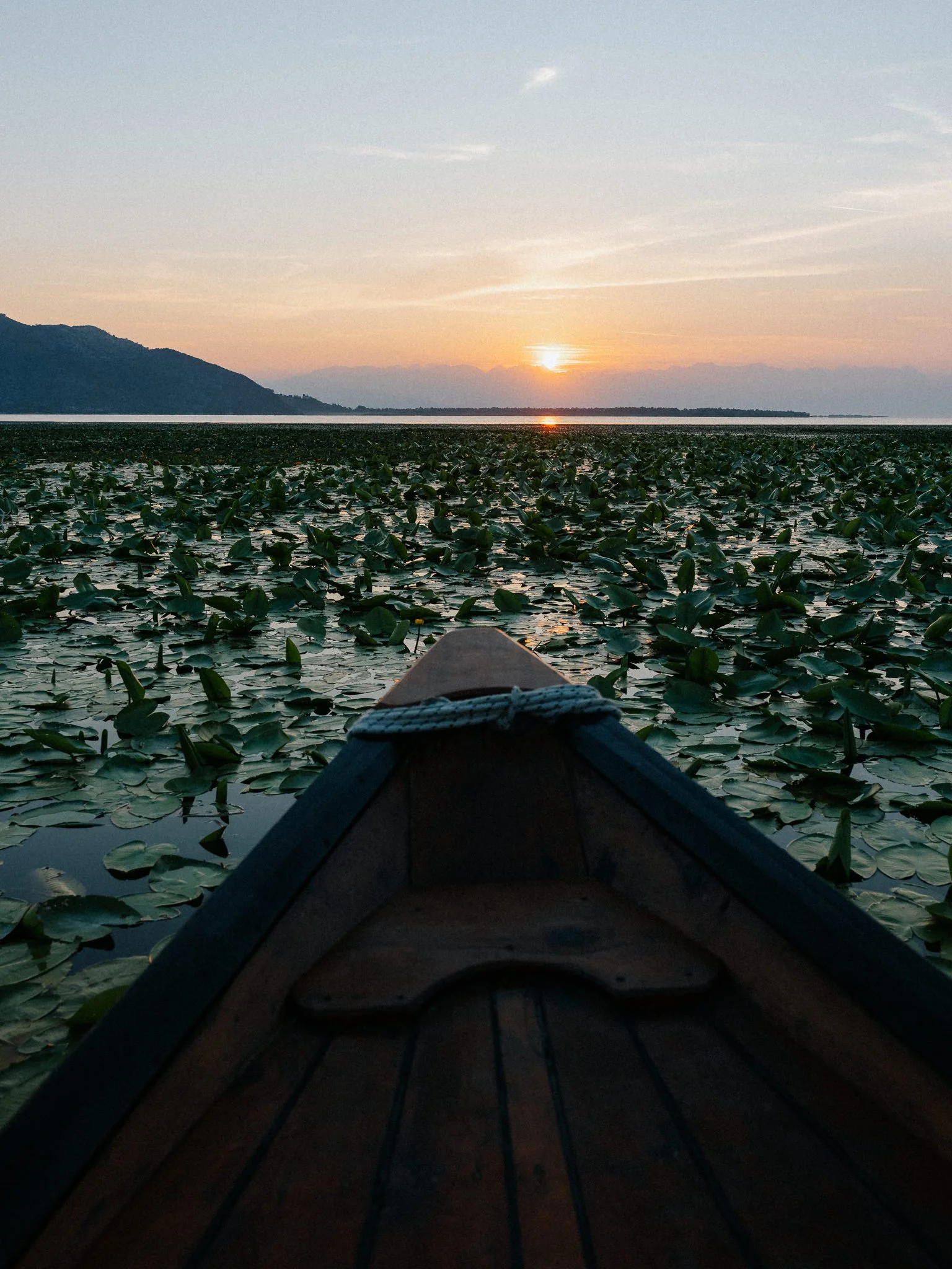 A photo taken from the front of a boat on a calm lake with vast lily pads covering the water surface. The sun is setting behind distant mountains, casting an orange glow in the sky and reflecting on the water. The bow of the boat is visible at the bo