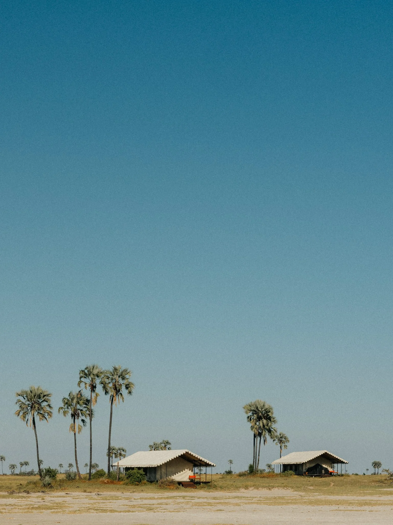 Palm trees, two beach cabanas with white canopy roofs, under a clear blue sky.