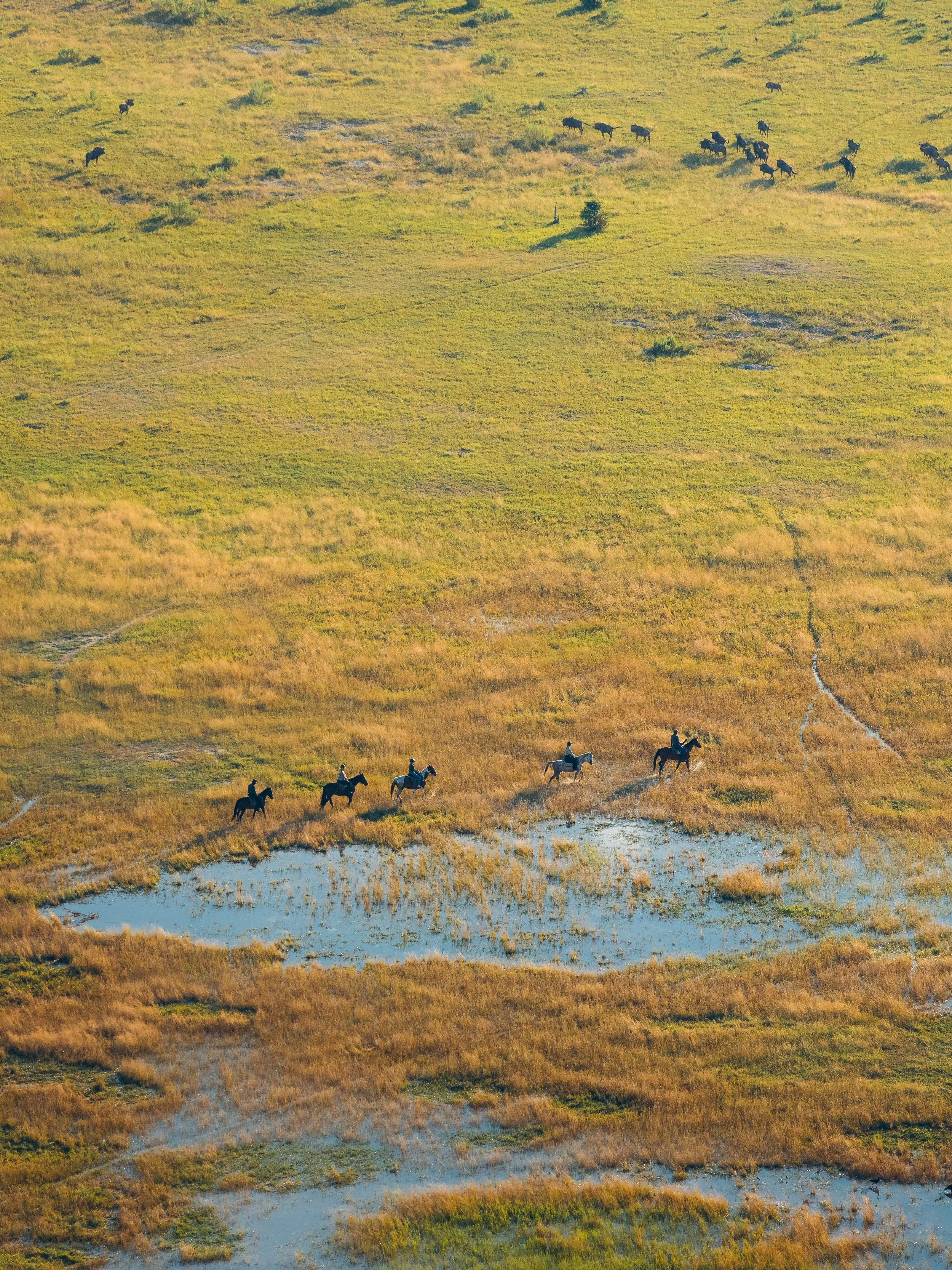 A group of horseback riders traveling across a grassy landscape near a water body, under clear weather.