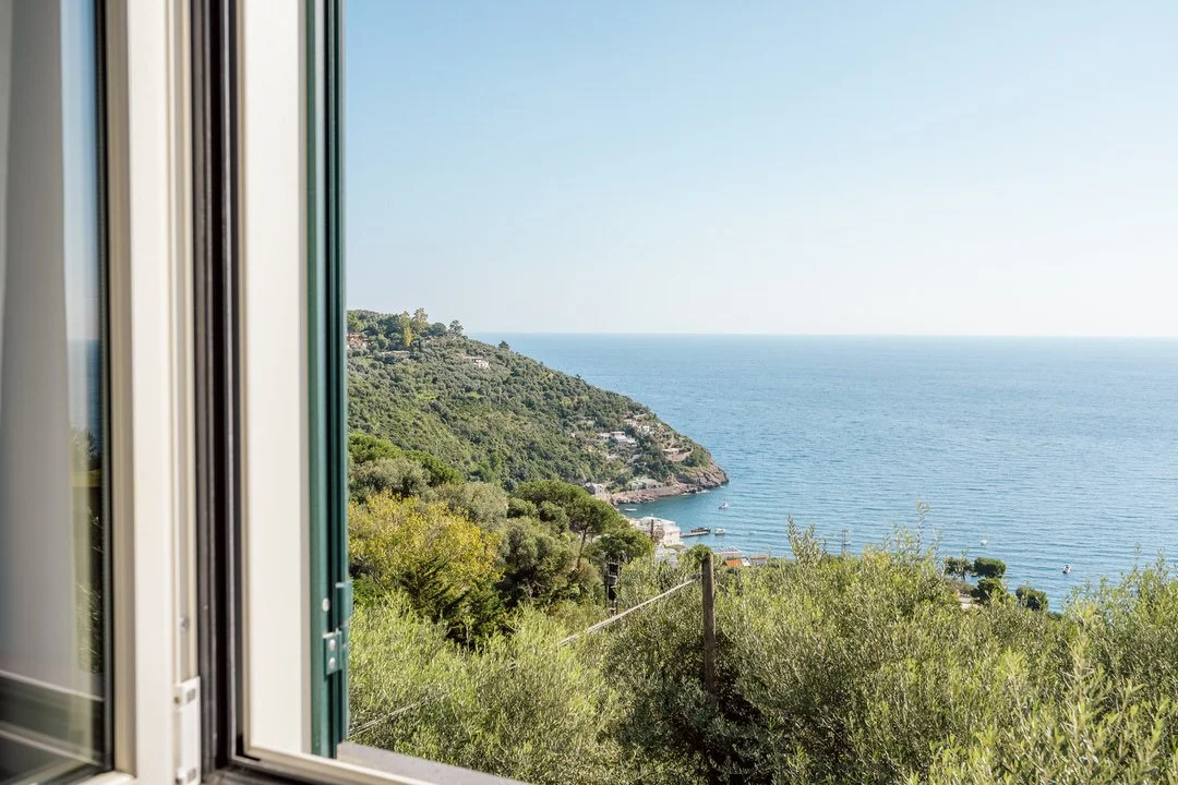 View of a hillside with greenery near the ocean, seen through an open window.