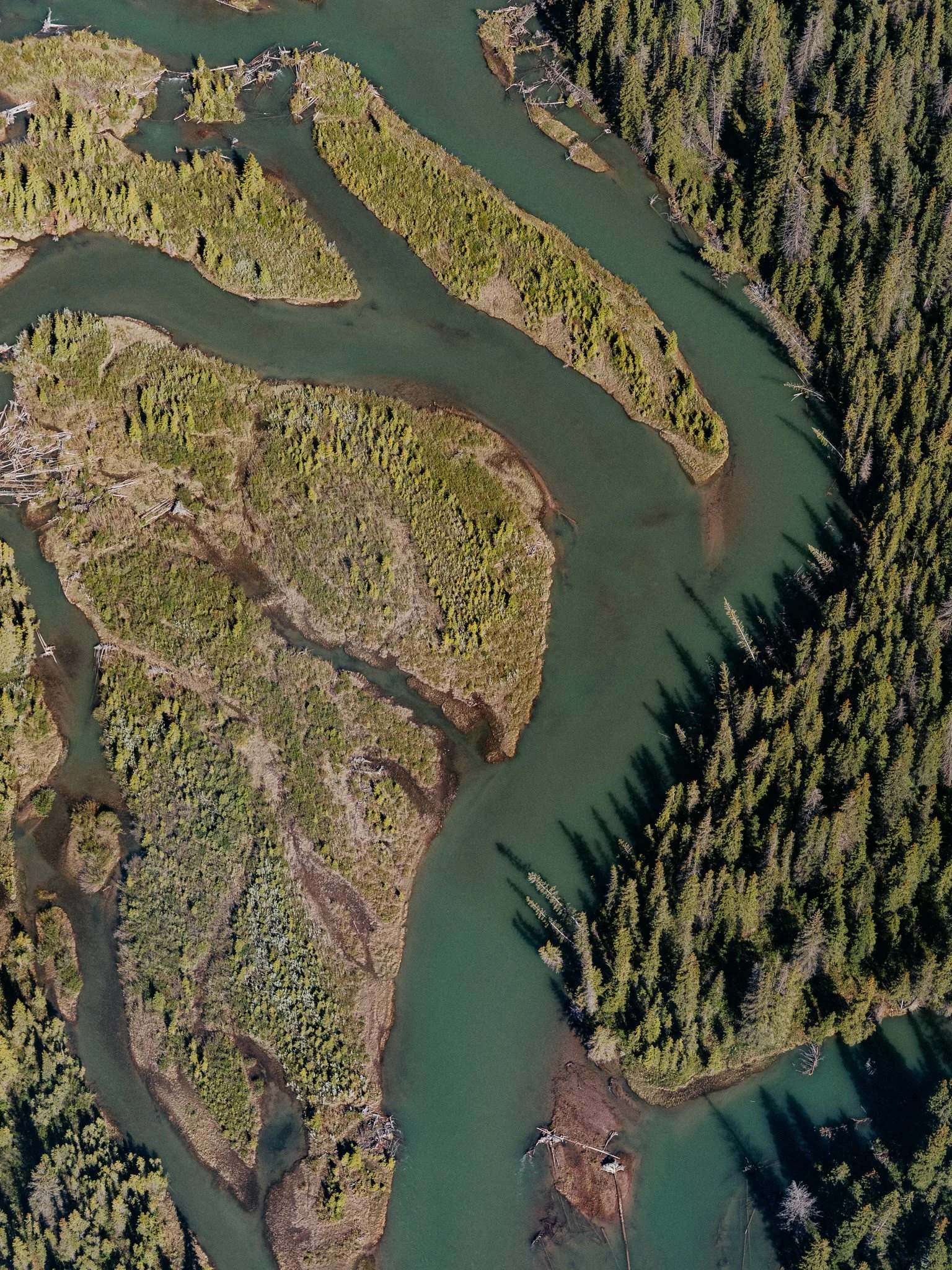 An aerial view of a river winding through a forested landscape with various islands and patches of trees.