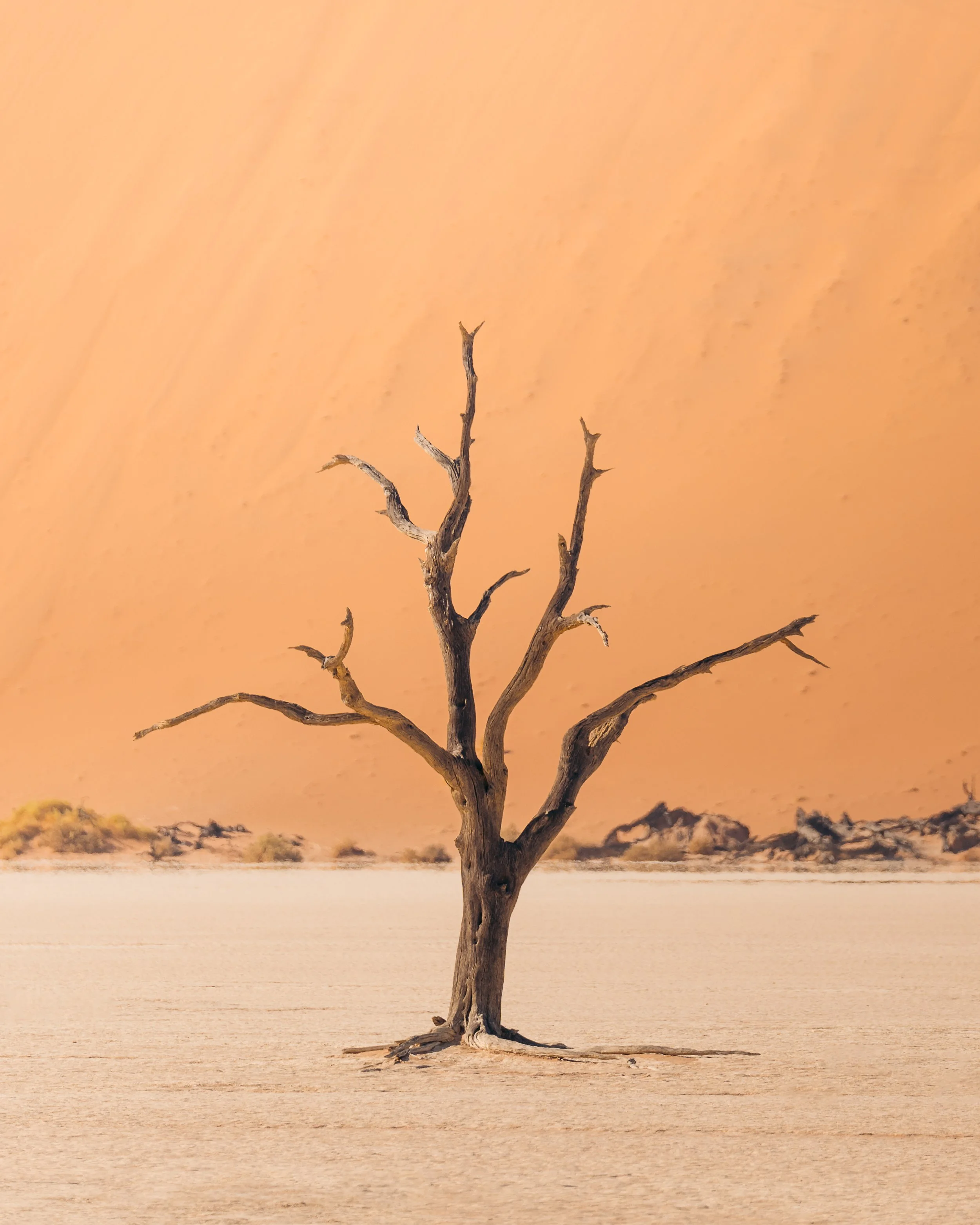 A solitary, leafless, dead tree in a barren desert landscape with a hazy orange sky.