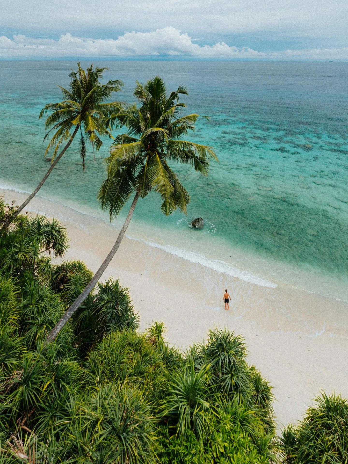Tropical beach with white sand, clear turquoise water, and a person standing by the shoreline. Tall palm trees and lush greenery in the foreground, with a cloudy sky above.