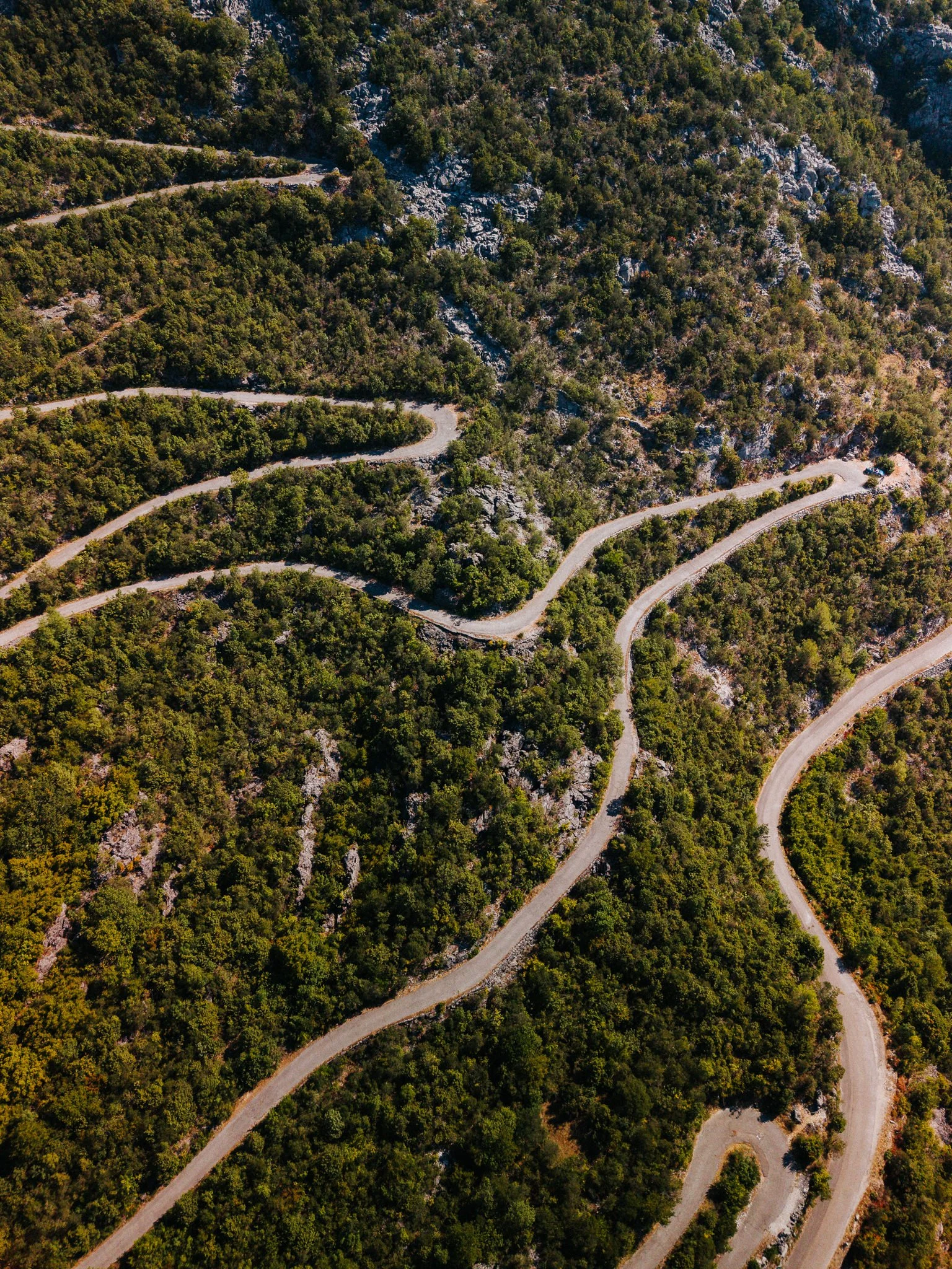 An aerial view of a mountainous forest landscape with a winding dirt road running through the trees.