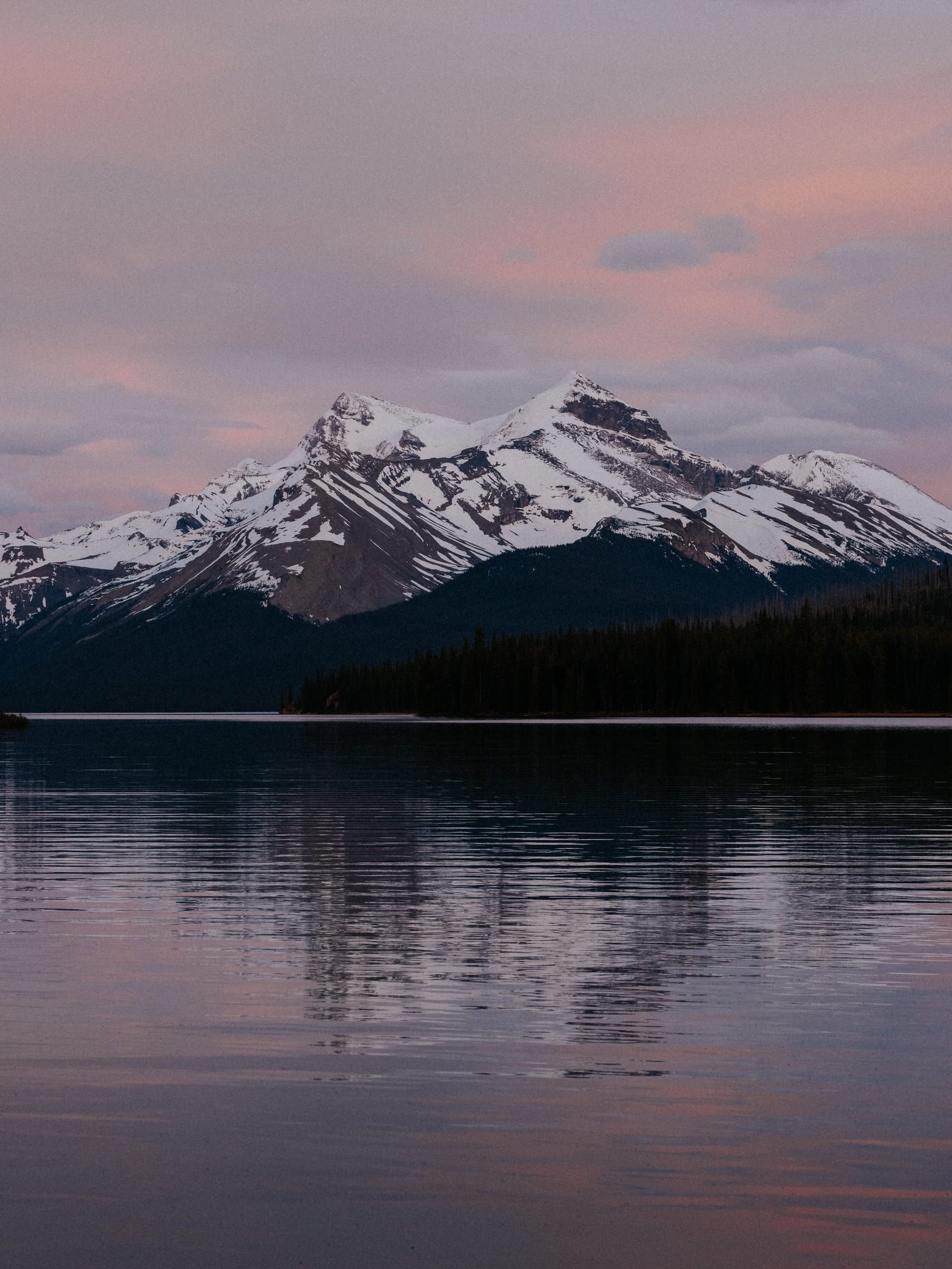 Snow-covered mountain peaks under a pastel pink and purple sunset sky, reflected in a calm lake in the foreground.