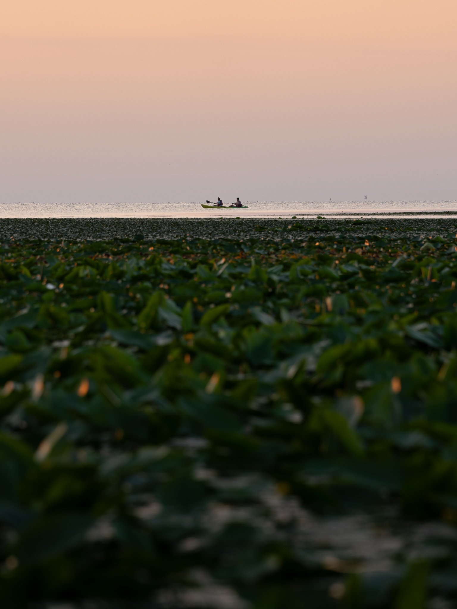 Two people kayaking on calm water at sunset with a pinkish sky and distant sailboats.
